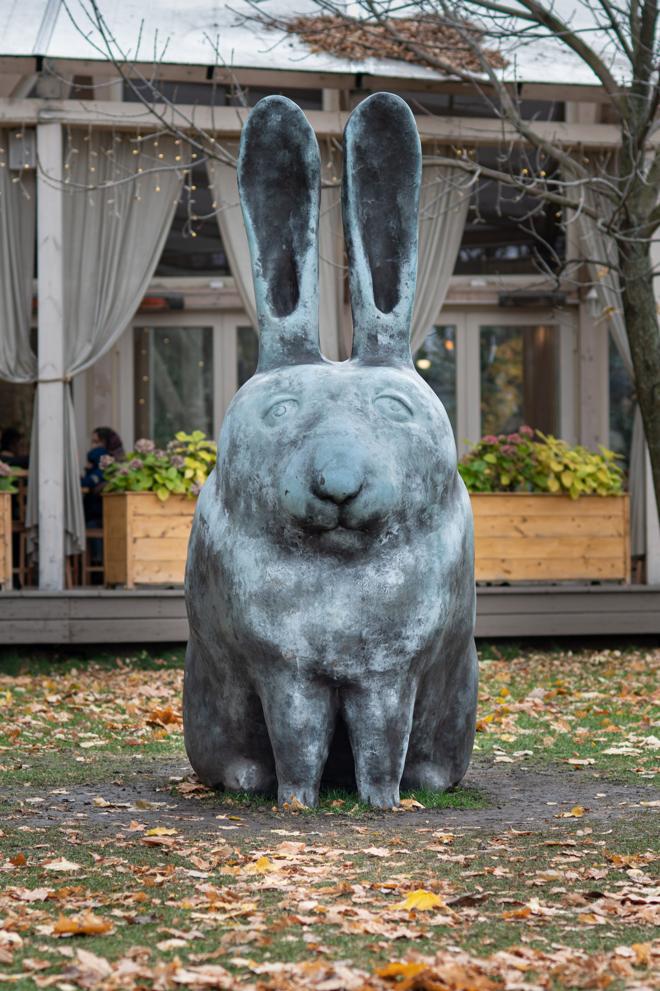 Дмитрий Ремизов. Фотография, как хобби