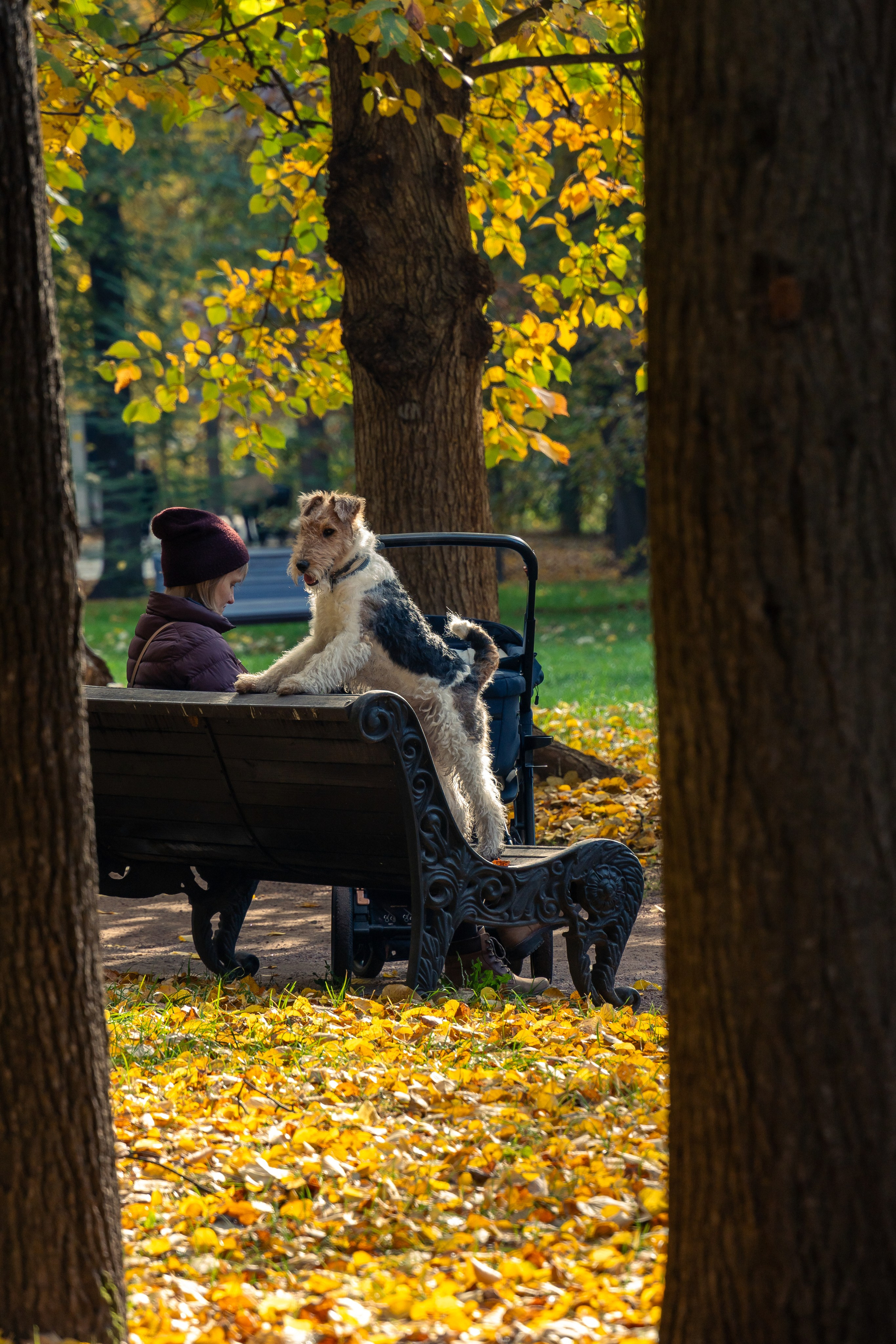 20251011 Нескучный сад. Дмитрий Ремизов. Фотография, как хобби