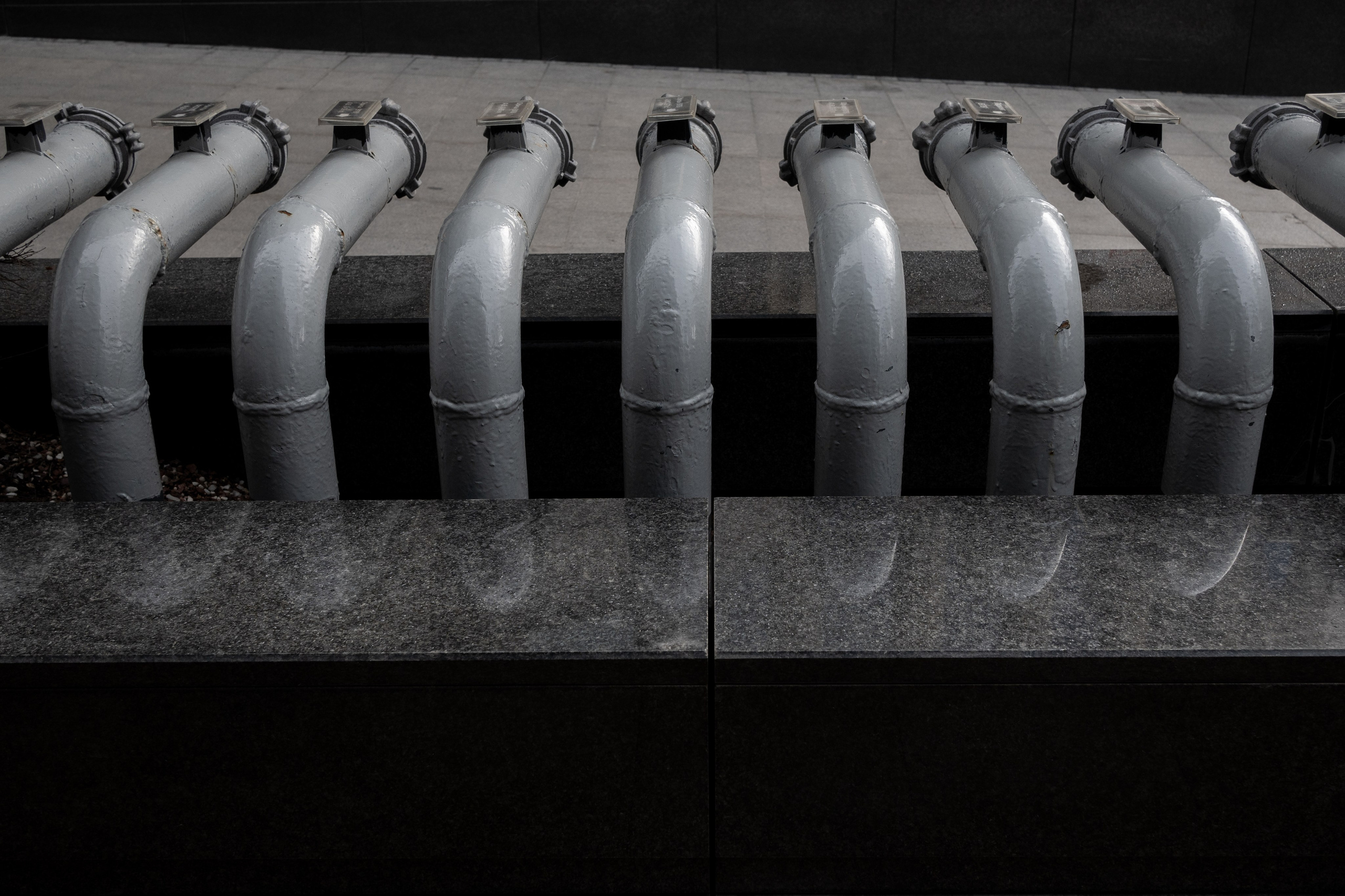 20250202 Белорусская-Охотный ряд. Дмитрий Ремизов. Фотография, как хобби