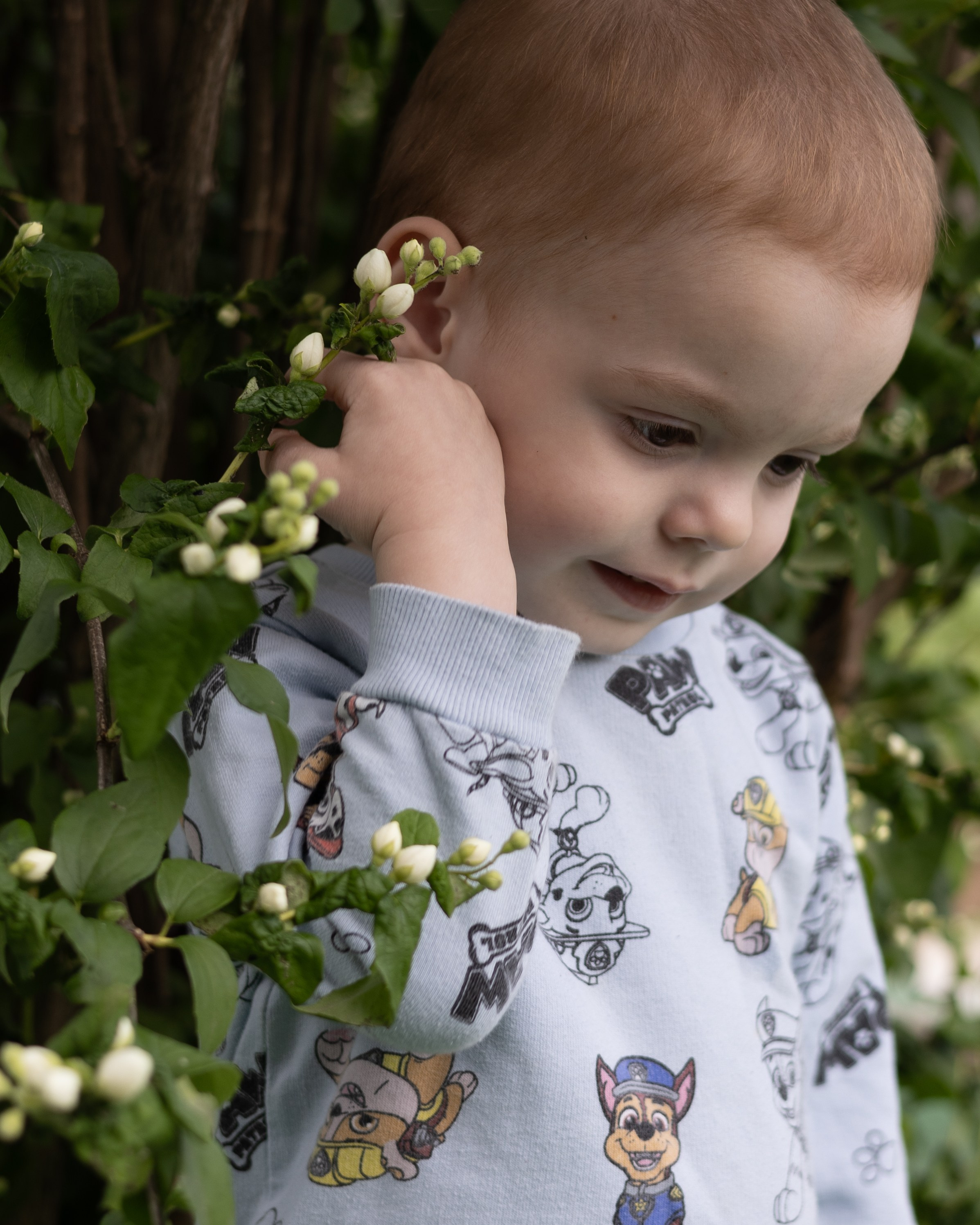 Детские съёмки. Фотограф в Москве и Московской области