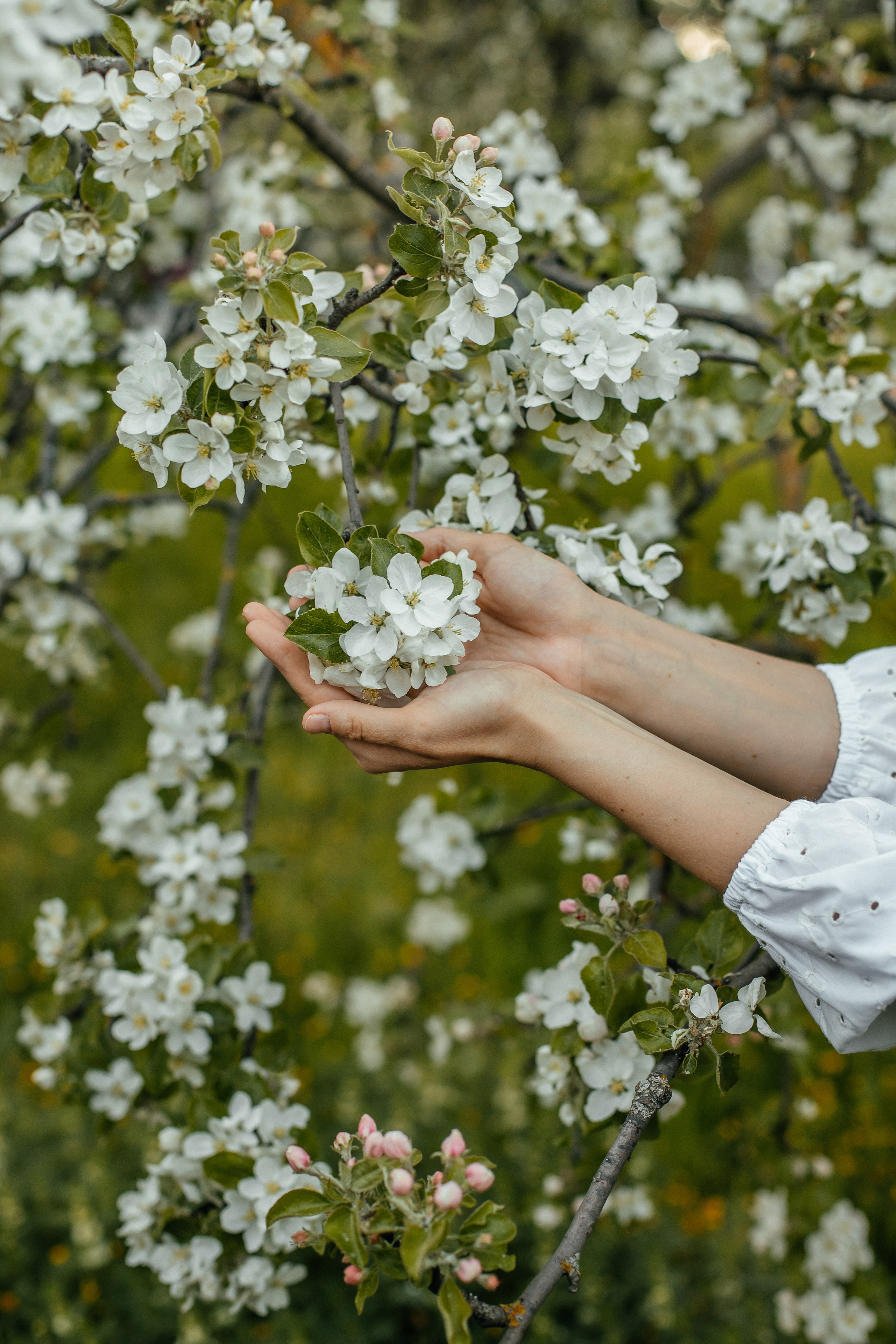 Вика и Лева. Elena Sova — семейный и женский фотограф в Санкт-Петербурге
