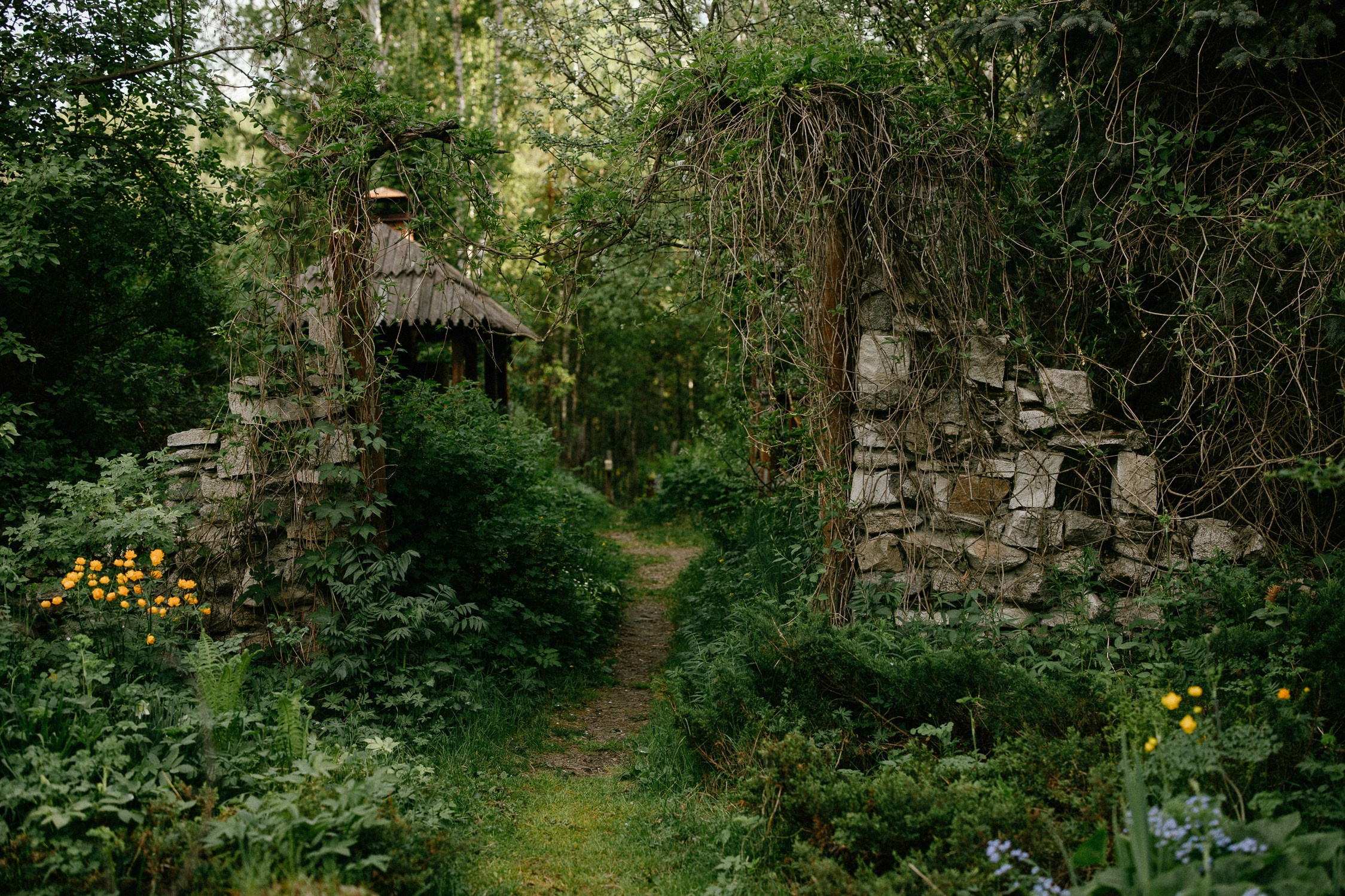 Зал «Сад» фотостудии «Зачарованный Сад» в Екатеринбурге — природная локация для фотосессий. Фотостудия «Зачарованный Сад» в 20 минутах от центра Екатеринбурга