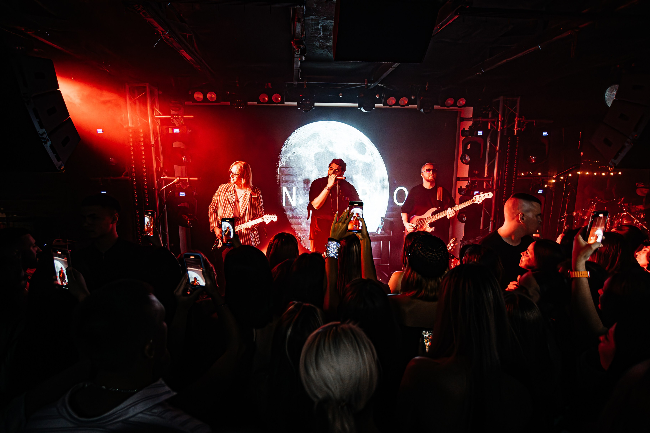 Чайка_на_пляже_Андро_Ялта_24.08.2024. Аминов Руслан | Фотограф