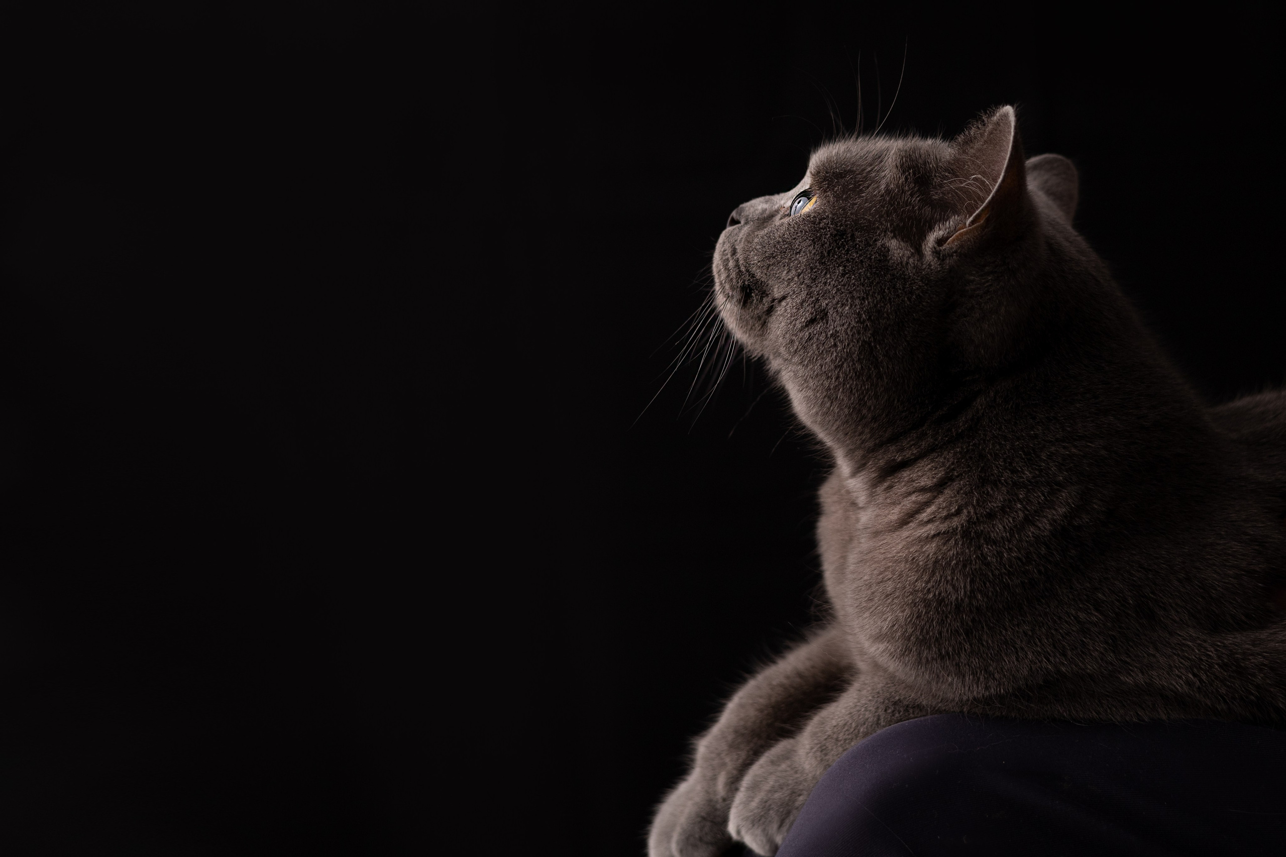 Услуга портрет поколений. «Вкадре» — фотосессия новорожденных Тула | детский фотограф в Туле