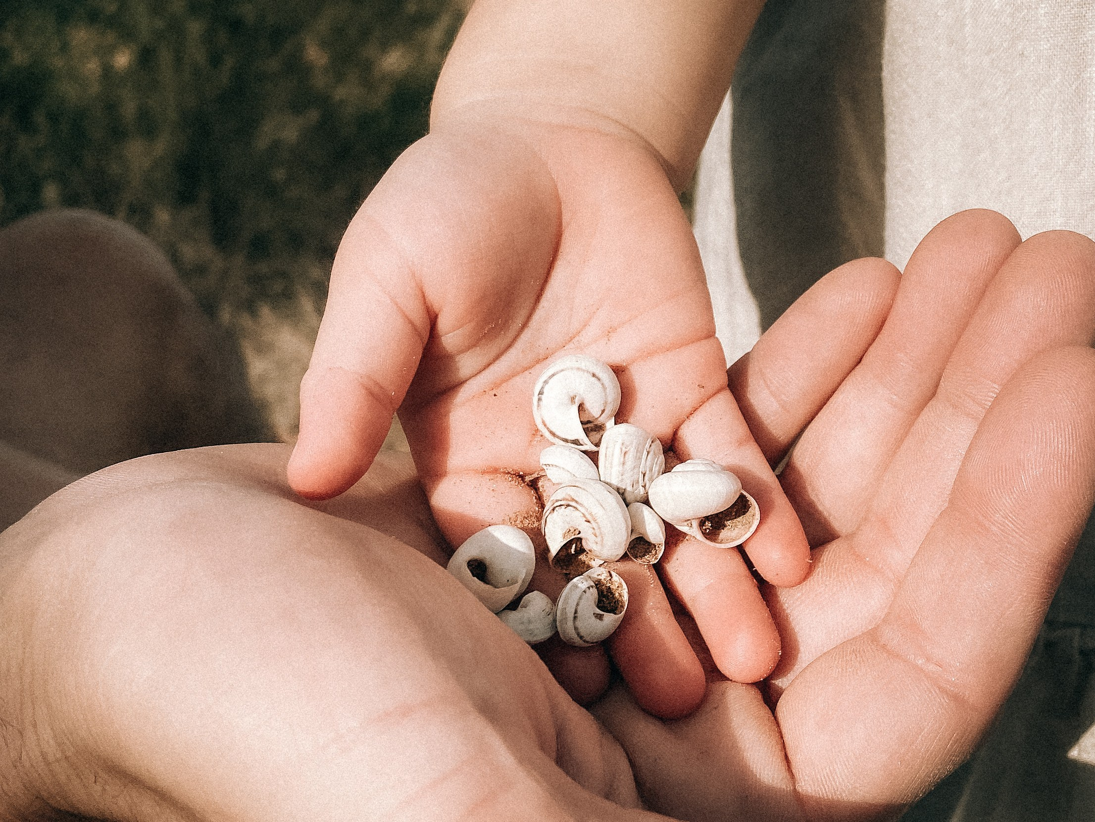 Family. Olga Popova — Photographer in Morocco