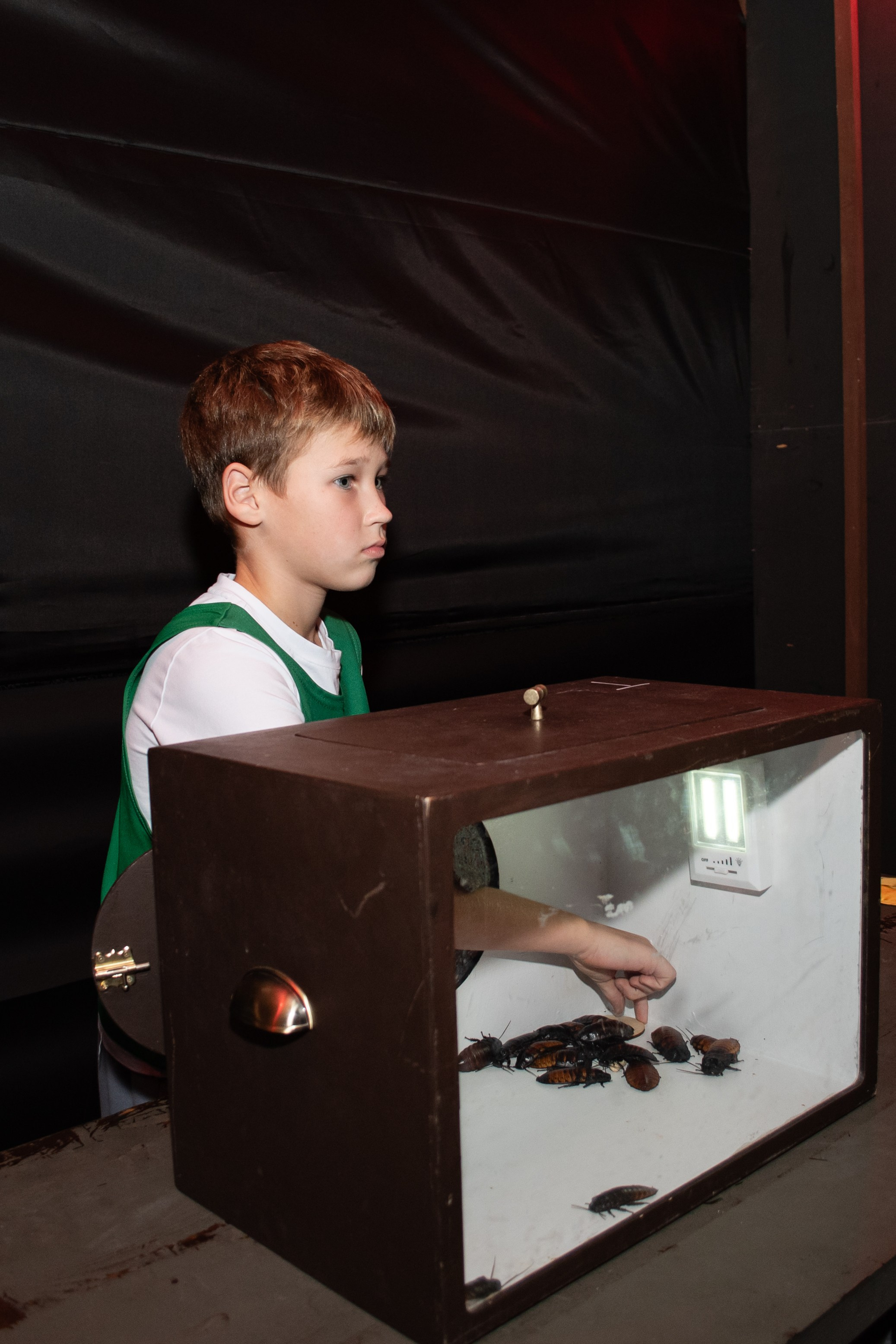 Форд Боярд День Рождения Ивана. Фотограф Челябинск Екатерина Миниханова