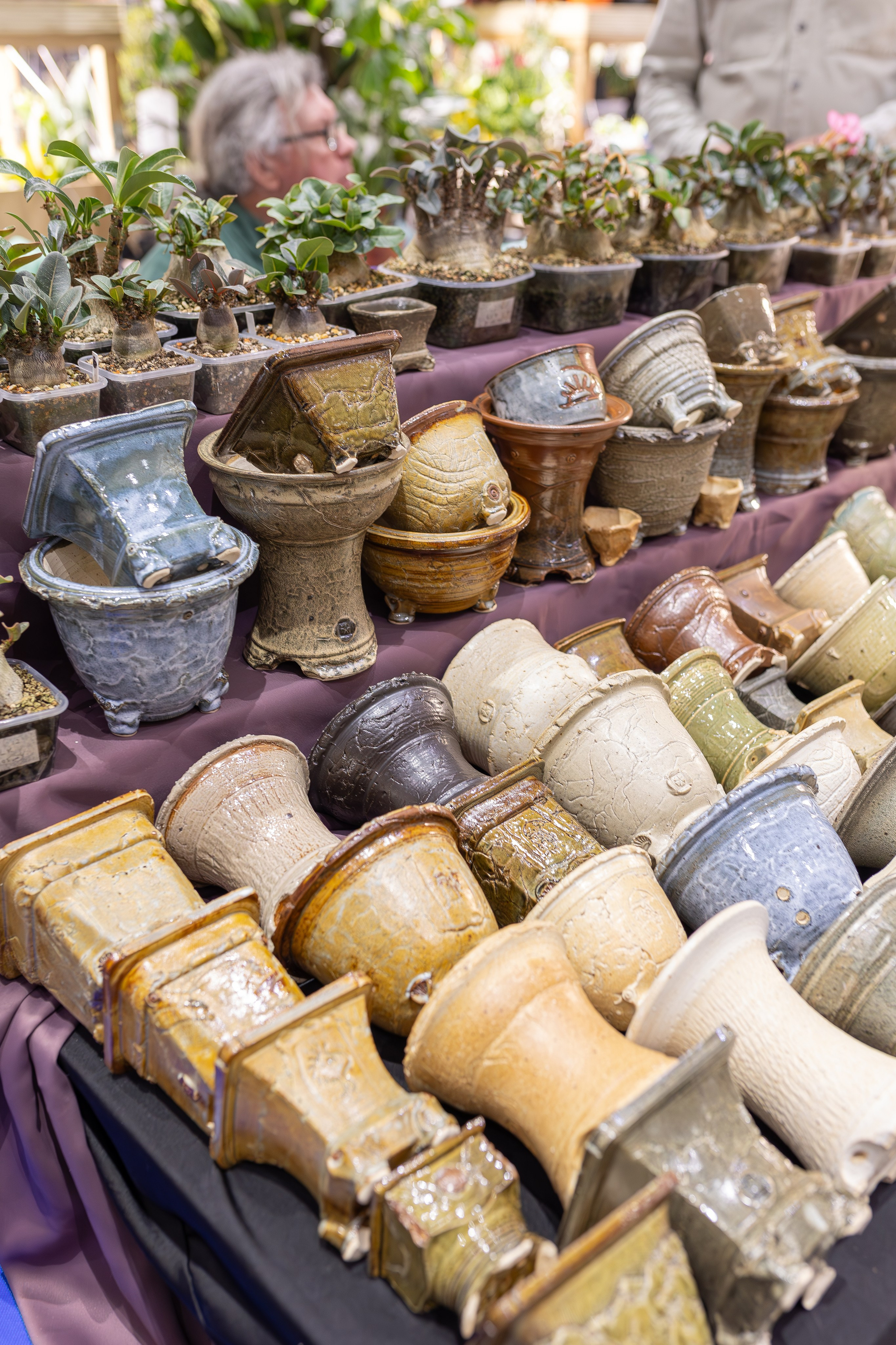 Монстериум апрель 2026. Александра Куликова фотограф, Москва