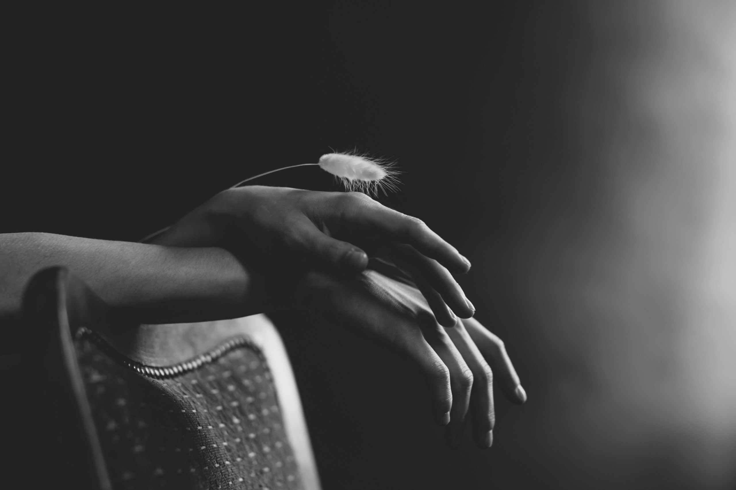 Фотограф Мартыненко Екатерина. Всеволожск. Санкт-Петербург и ЛО