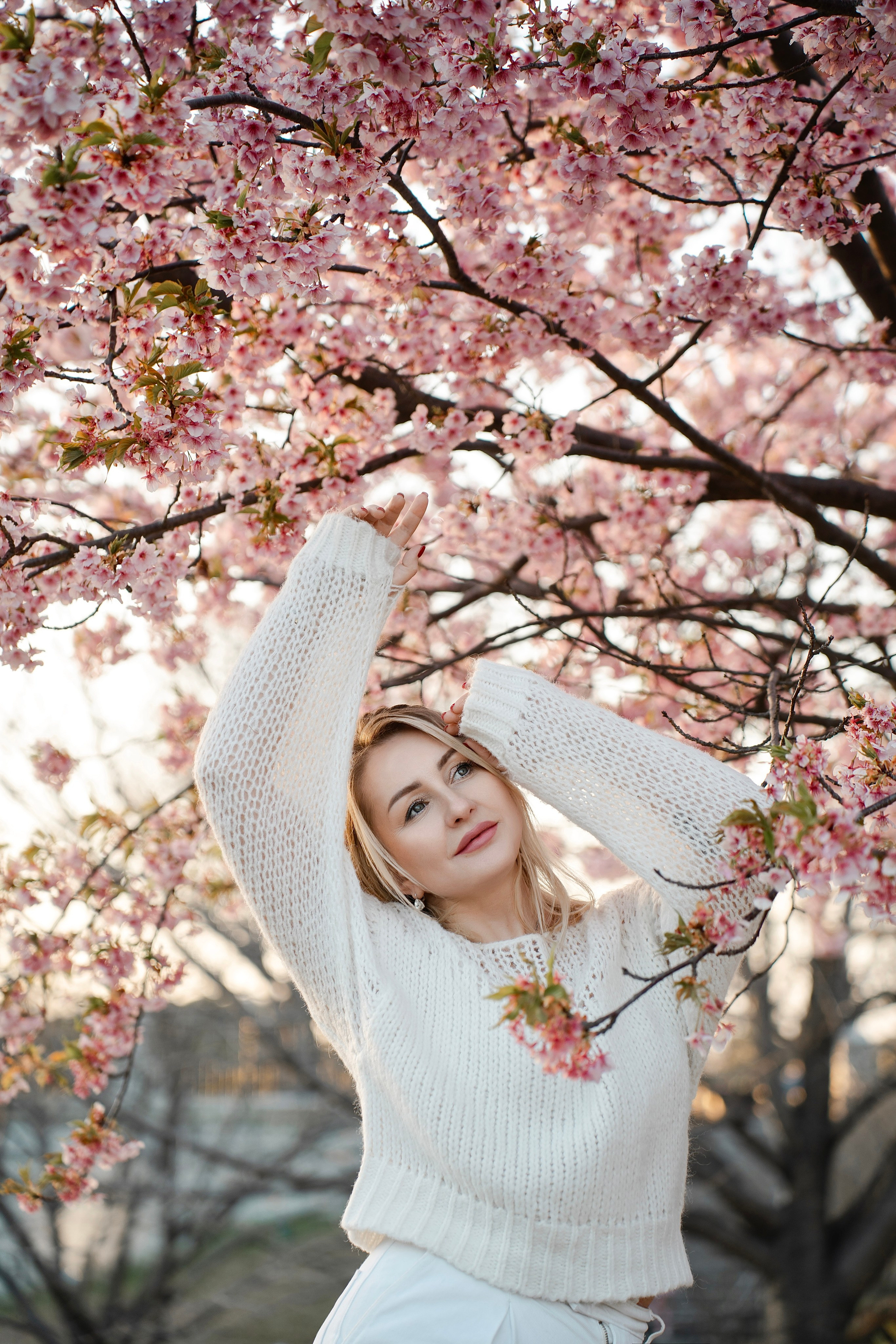 Sakura. Фотограф Алина Диева Москва | Токио