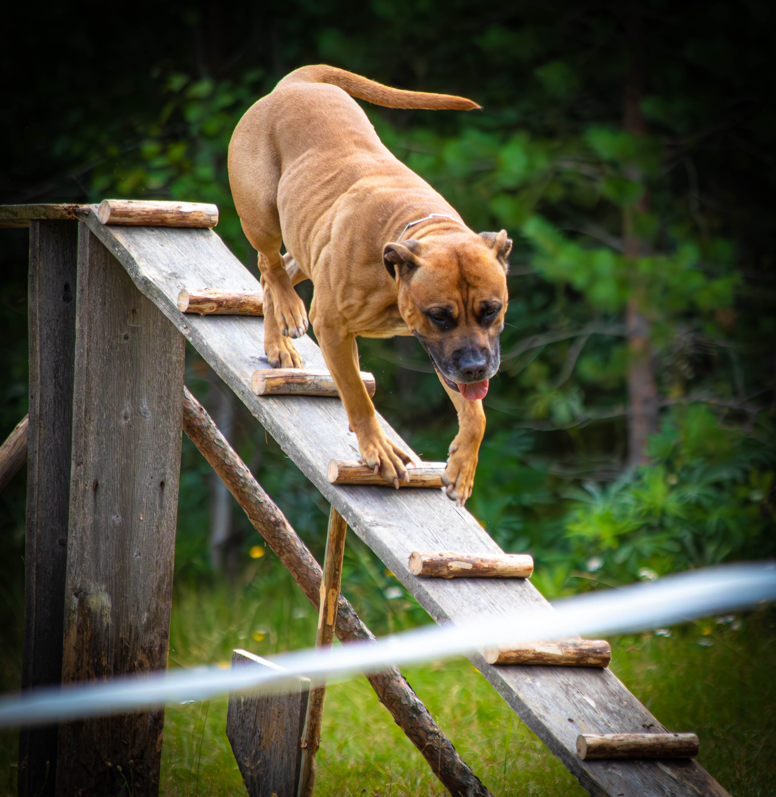 ОКД репортажная съёмка Тула 
