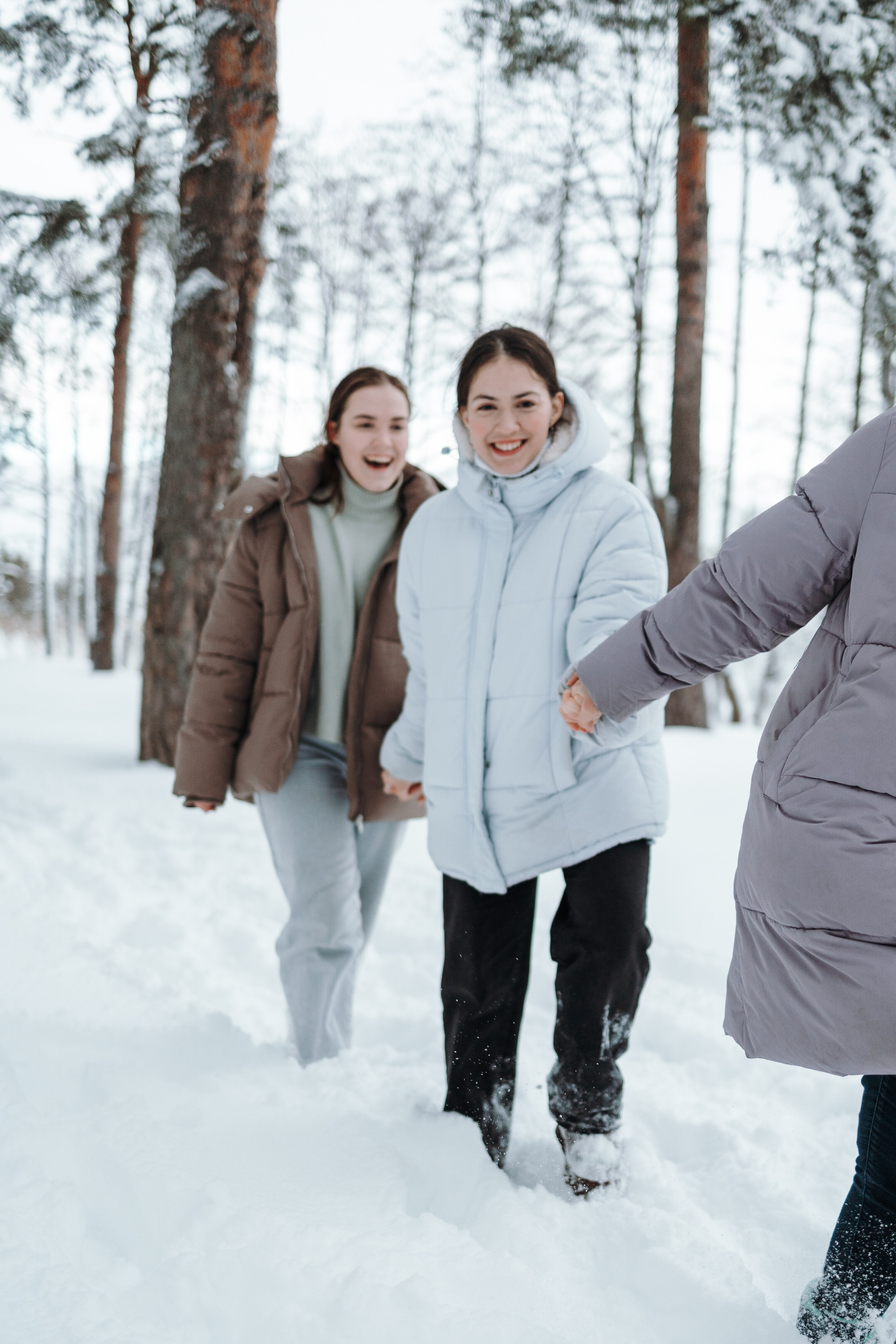 Оливка и ее семья. Фотограф — Анималист | Санкт-Петербург