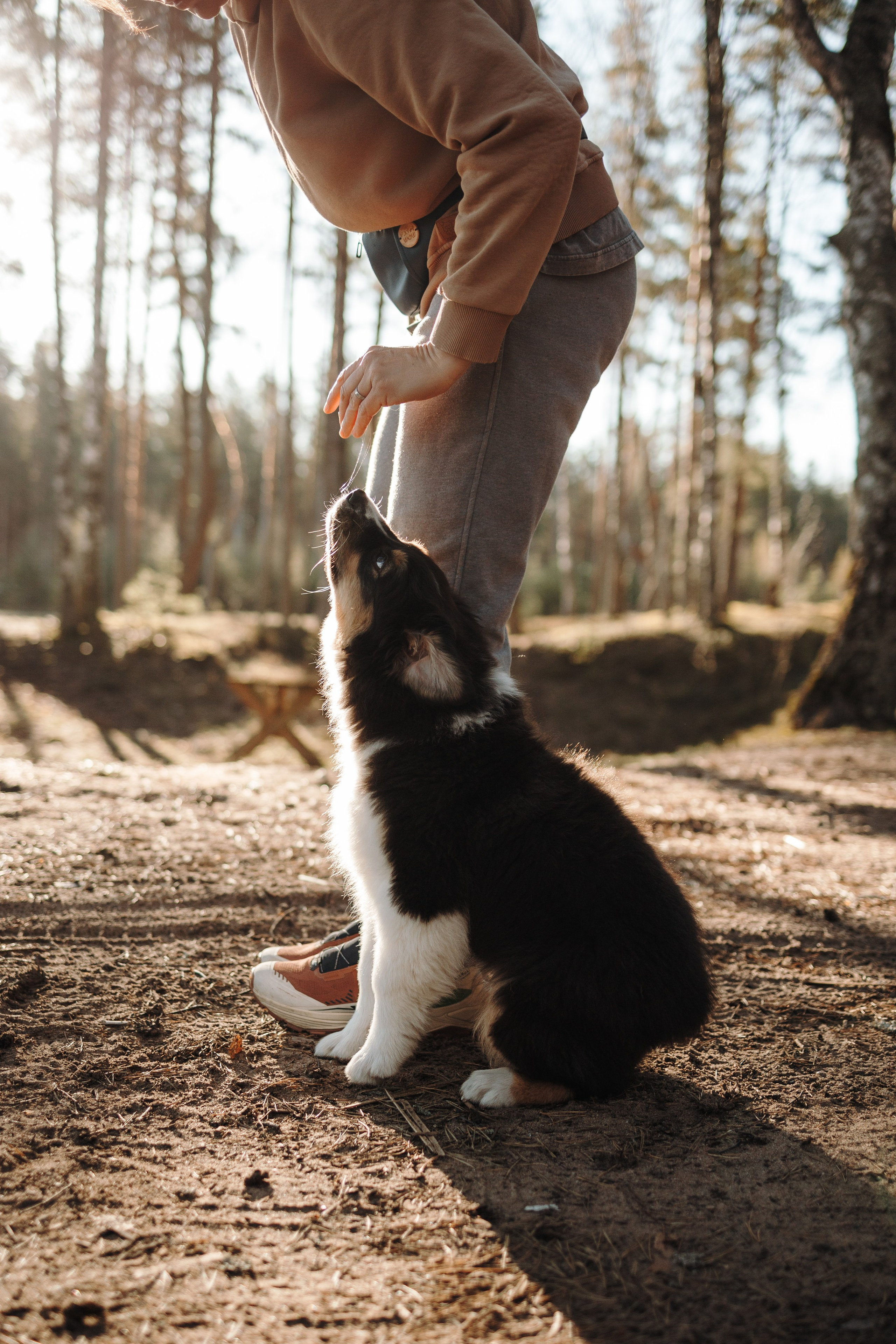 Ира и Шмель. Фотограф — Анималист | Санкт-Петербург