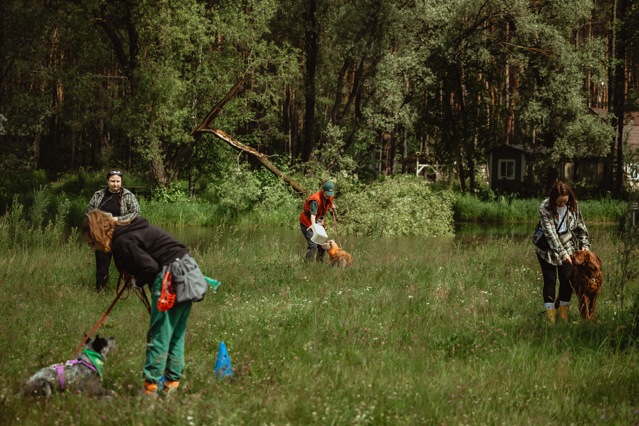 Выездной дог-тренинг от школы «Шерсть имею»