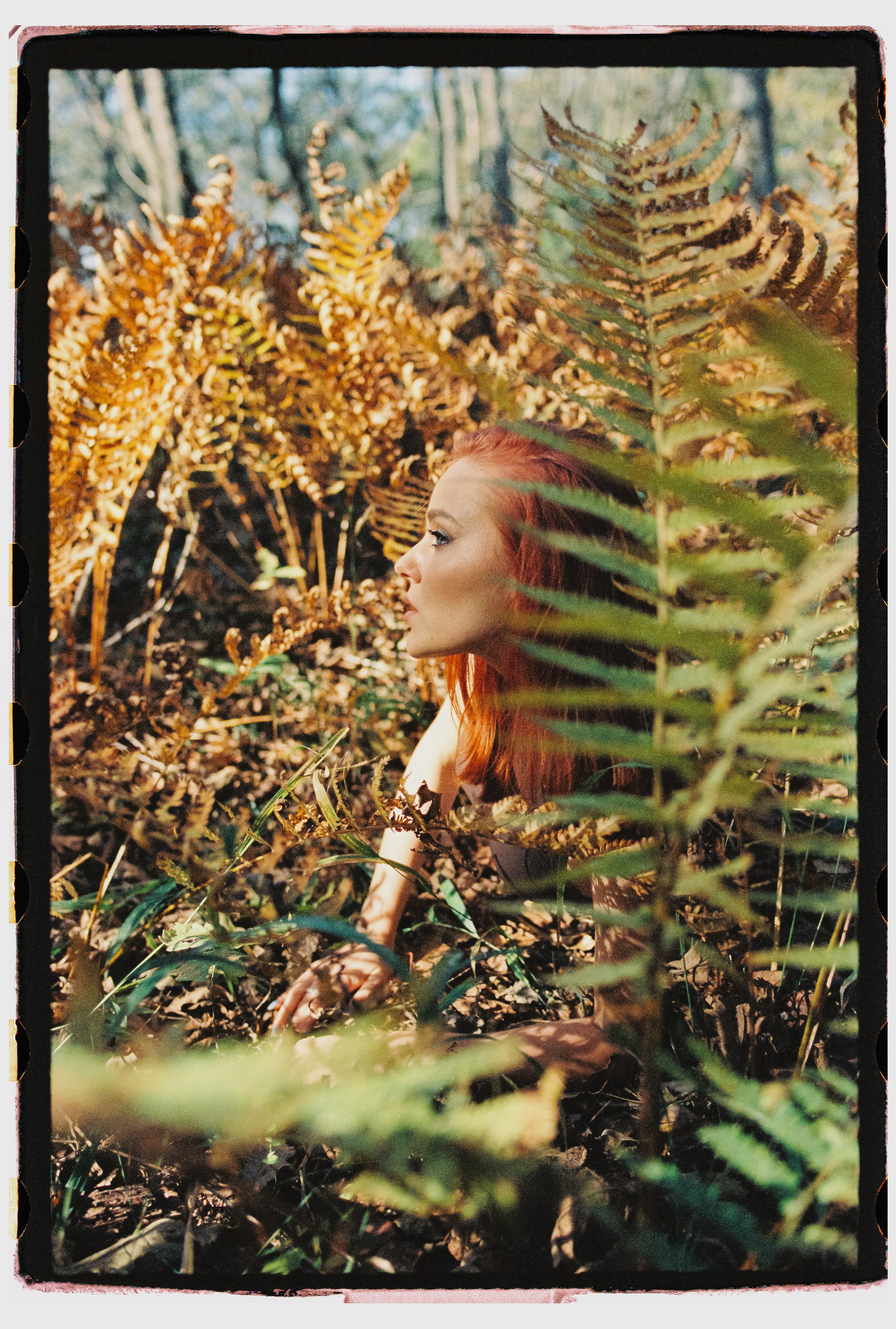 Поляна раздора