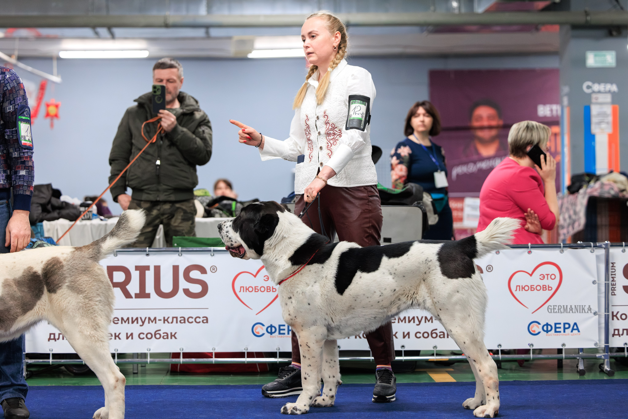 Сфера 08 и 10.03.2024 2хмоно ротвейлеров+2хмоно сао. Фотограф-анималист Юлия Германика