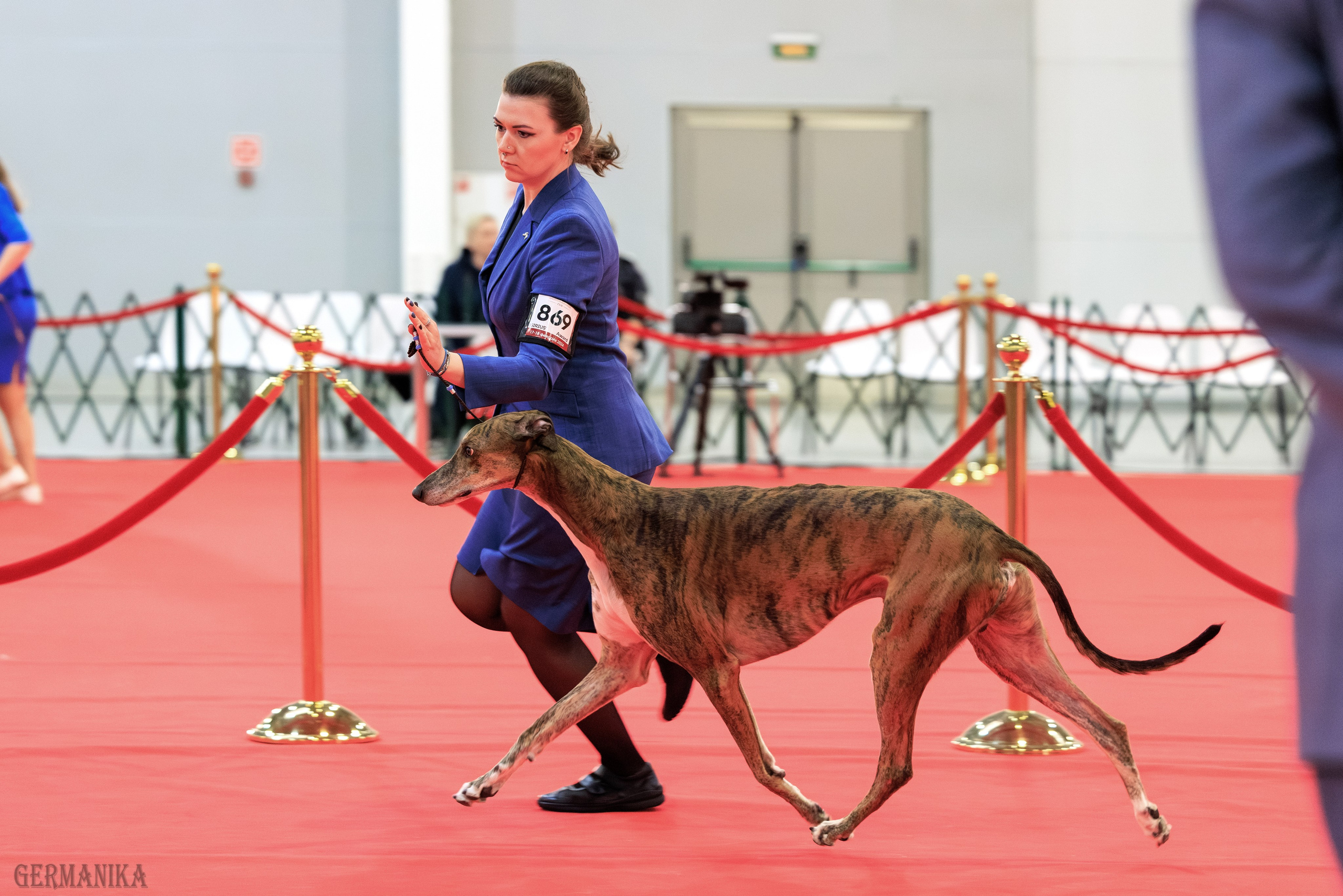 Лучшие Собаки России 17-18.02.2024. Фотограф-анималист Юлия Германика