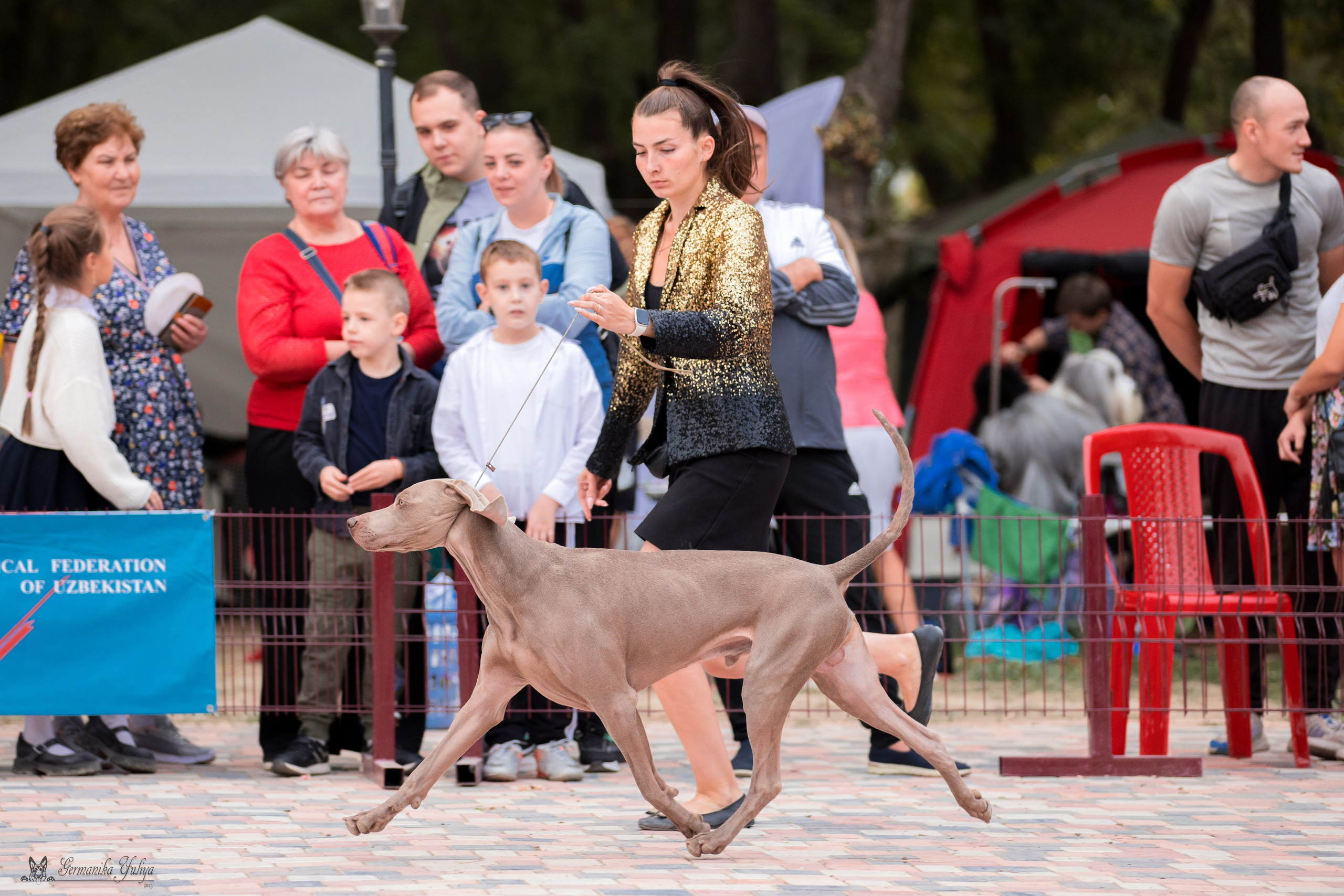 Ташкент 6-8.10.2023 + Алматы 14-15.10.2023. Фотограф-анималист Юлия Германика