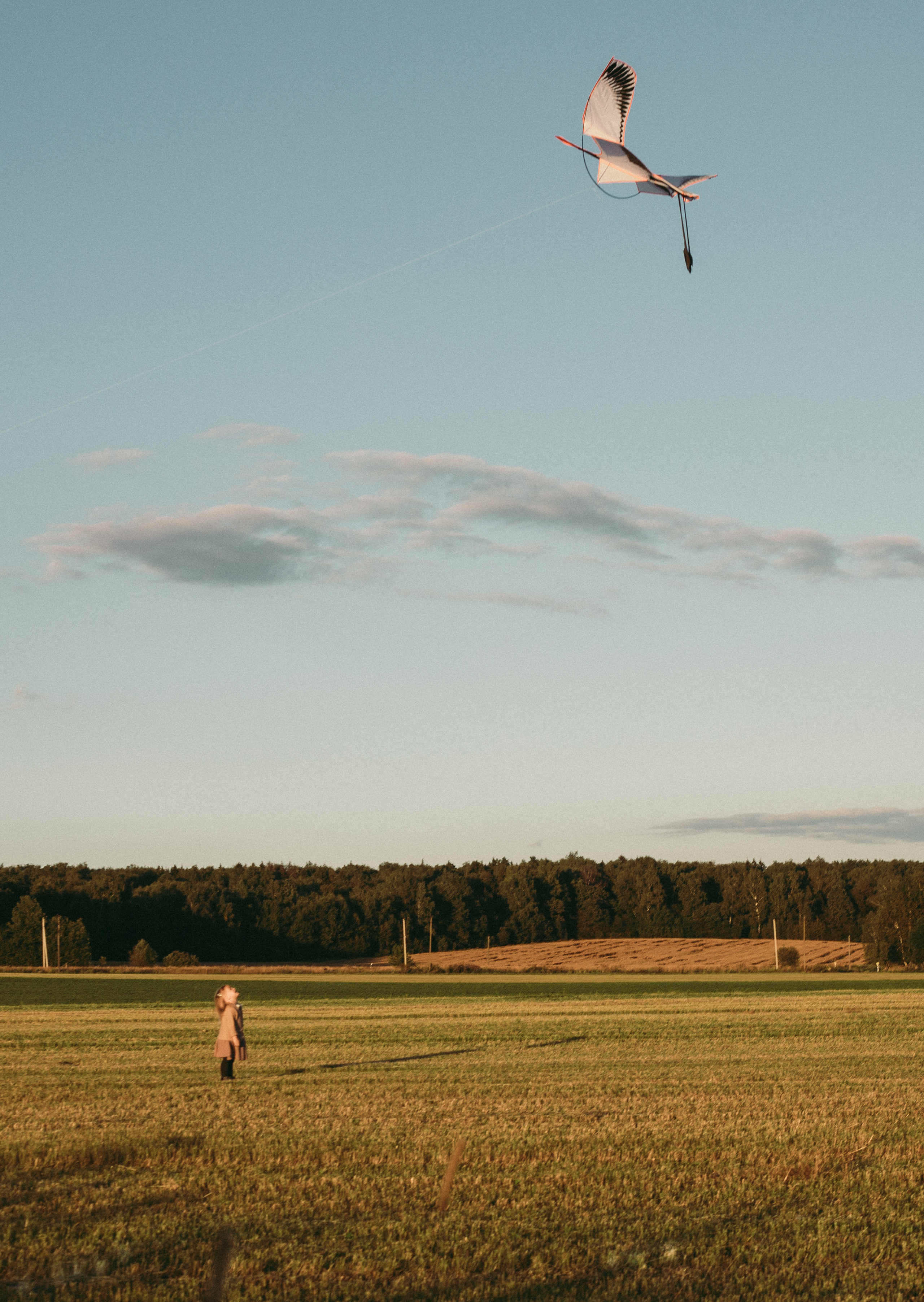 На природе. Семейный и детский фотограф Королев Мытищи Москва Бизяева Алена