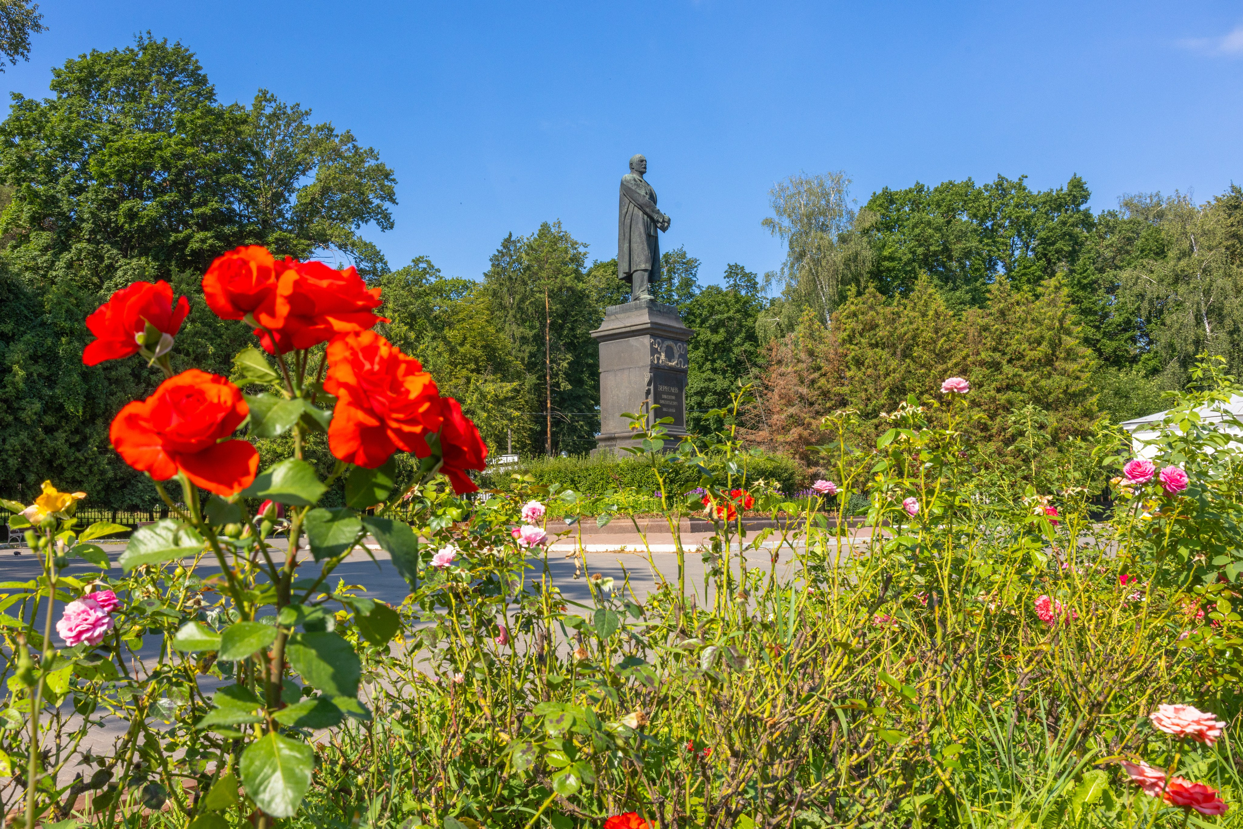 Парк им. П. П. Белоусова г. Тула 2024 г. Фотограф в Туле Крупский АнДРей. Фотостудия «КАДР71» в Туле
