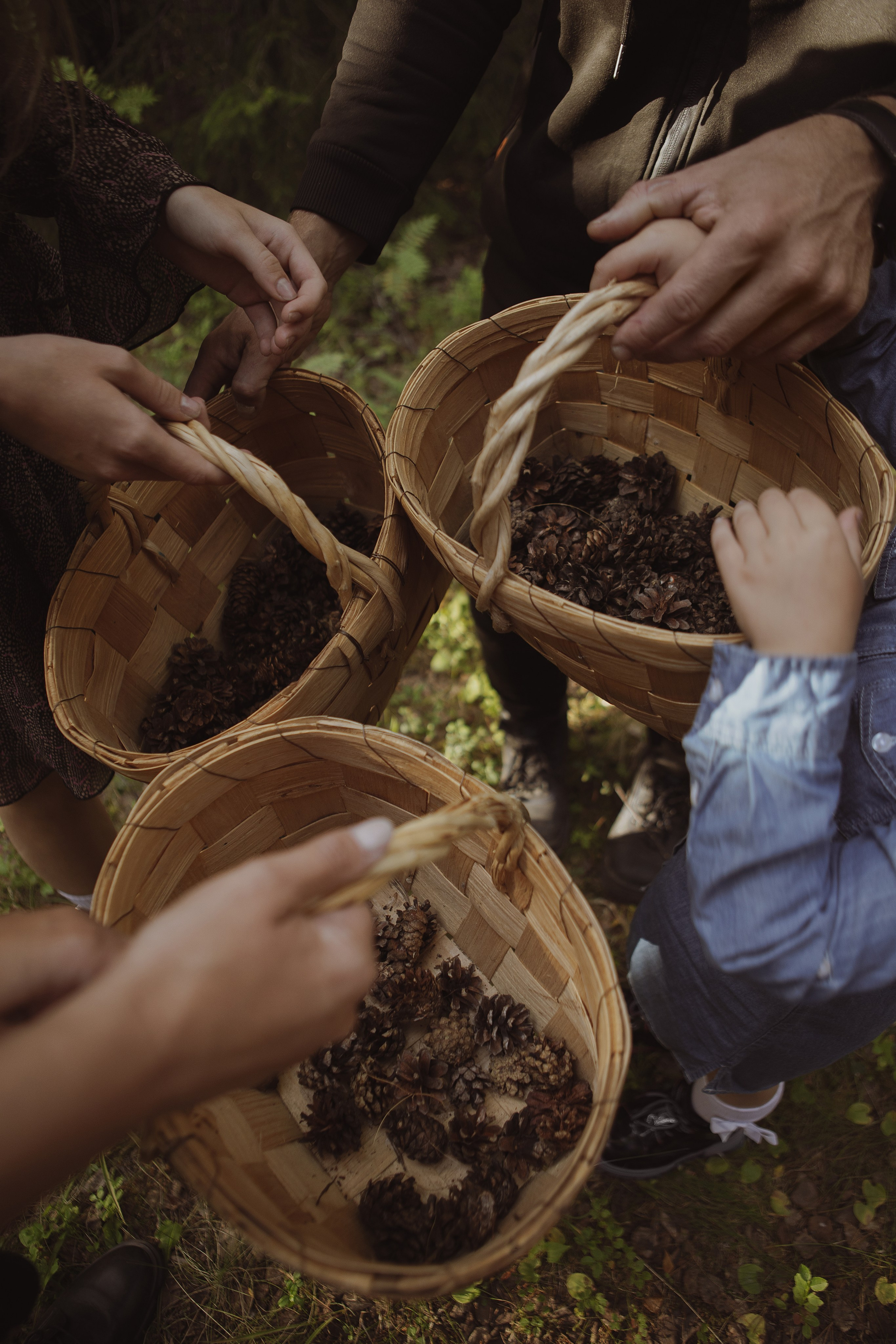 Семейная фотосессия в лесу. Фотограф в Москве Таша Логинова