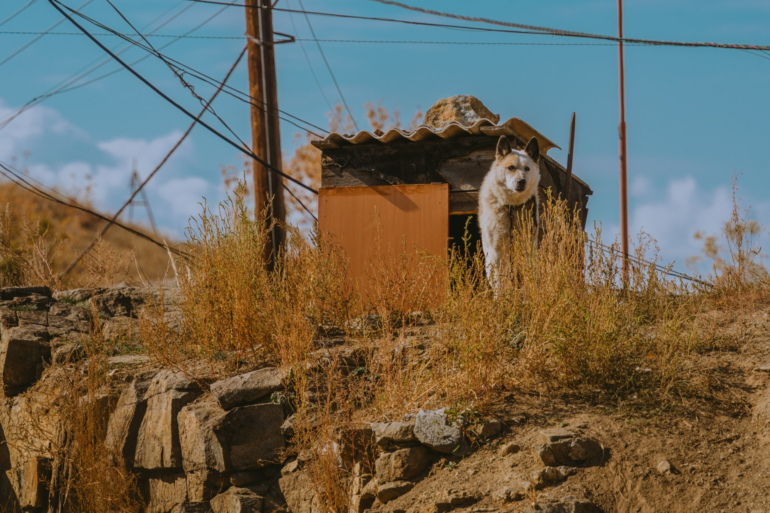 Усть-Каменогорск, Сентябрь 2024