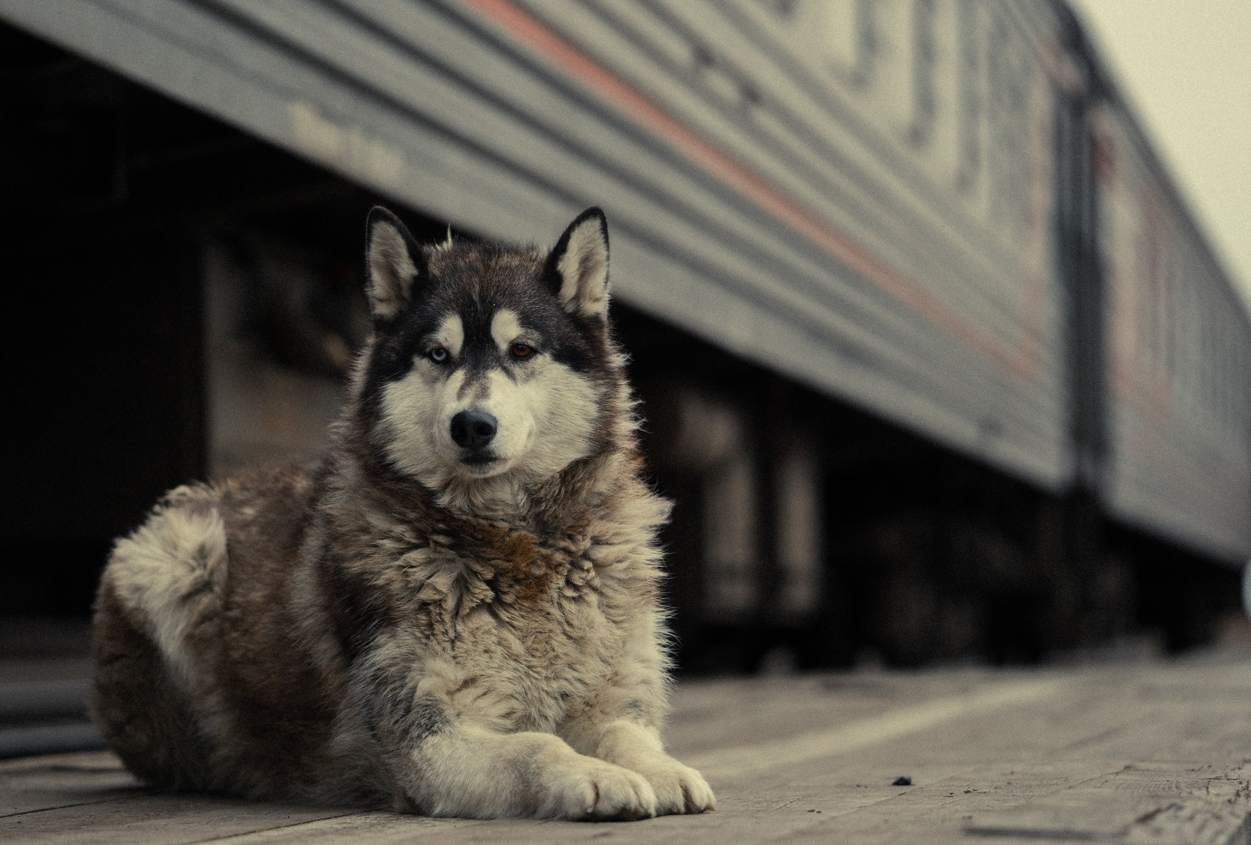 Уральские горы, Октябрь 2024