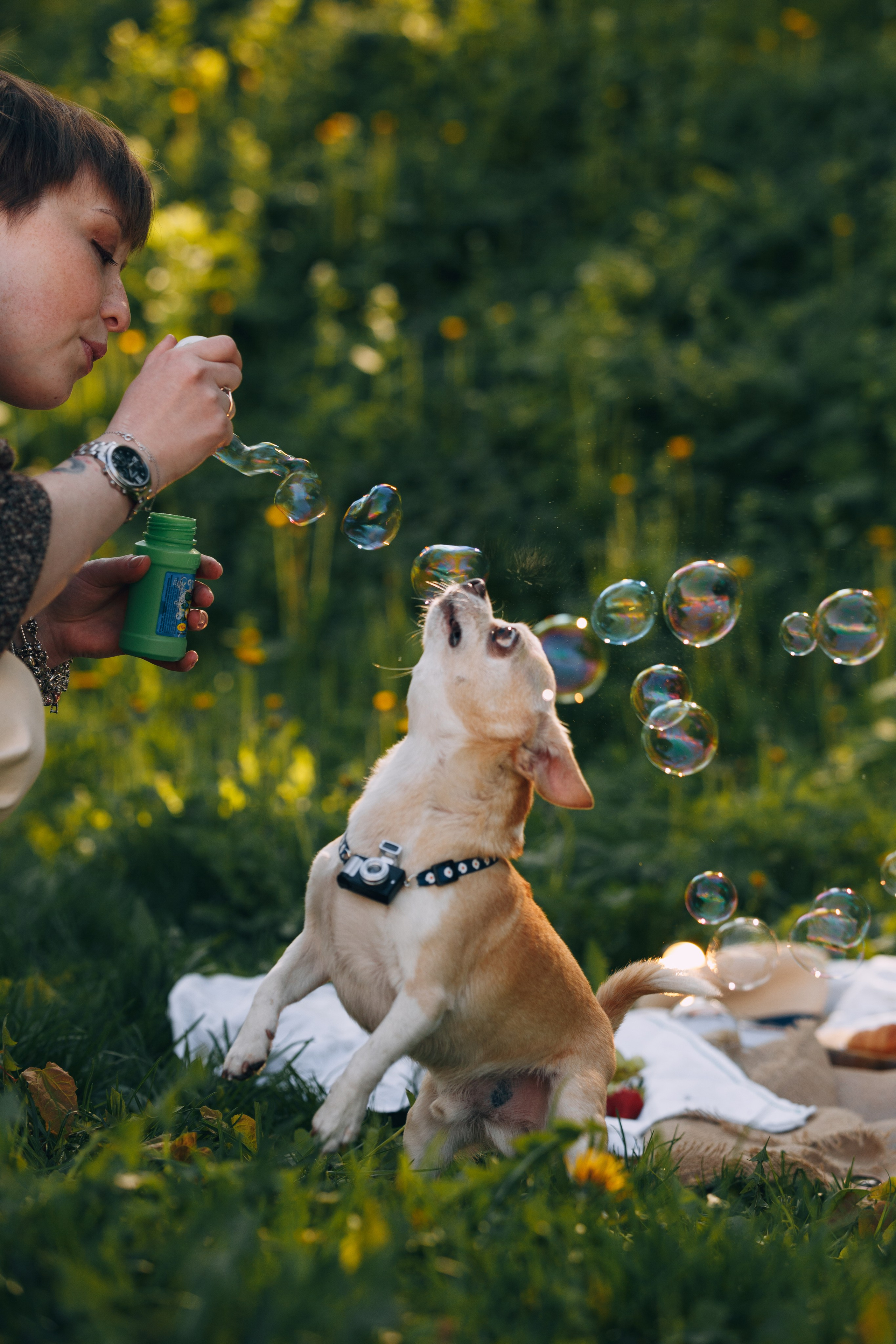 Оля, Патрик, Мейли и Джонни. Фотограф анималист Кристина Карпова, Москва