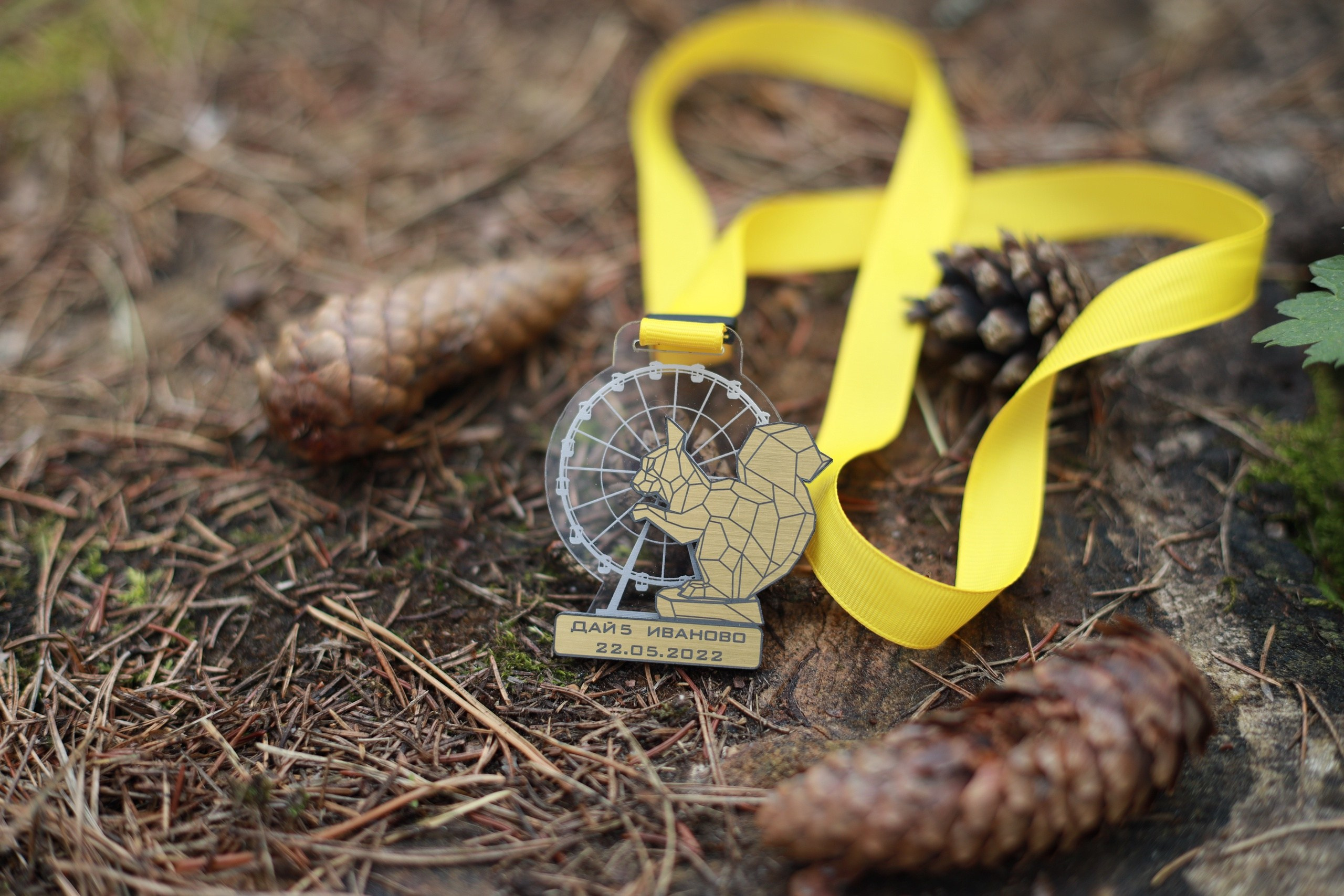 Спортивный репортаж. Репортажный, семейный, школьный фотограф в Иванове Инна Крылова