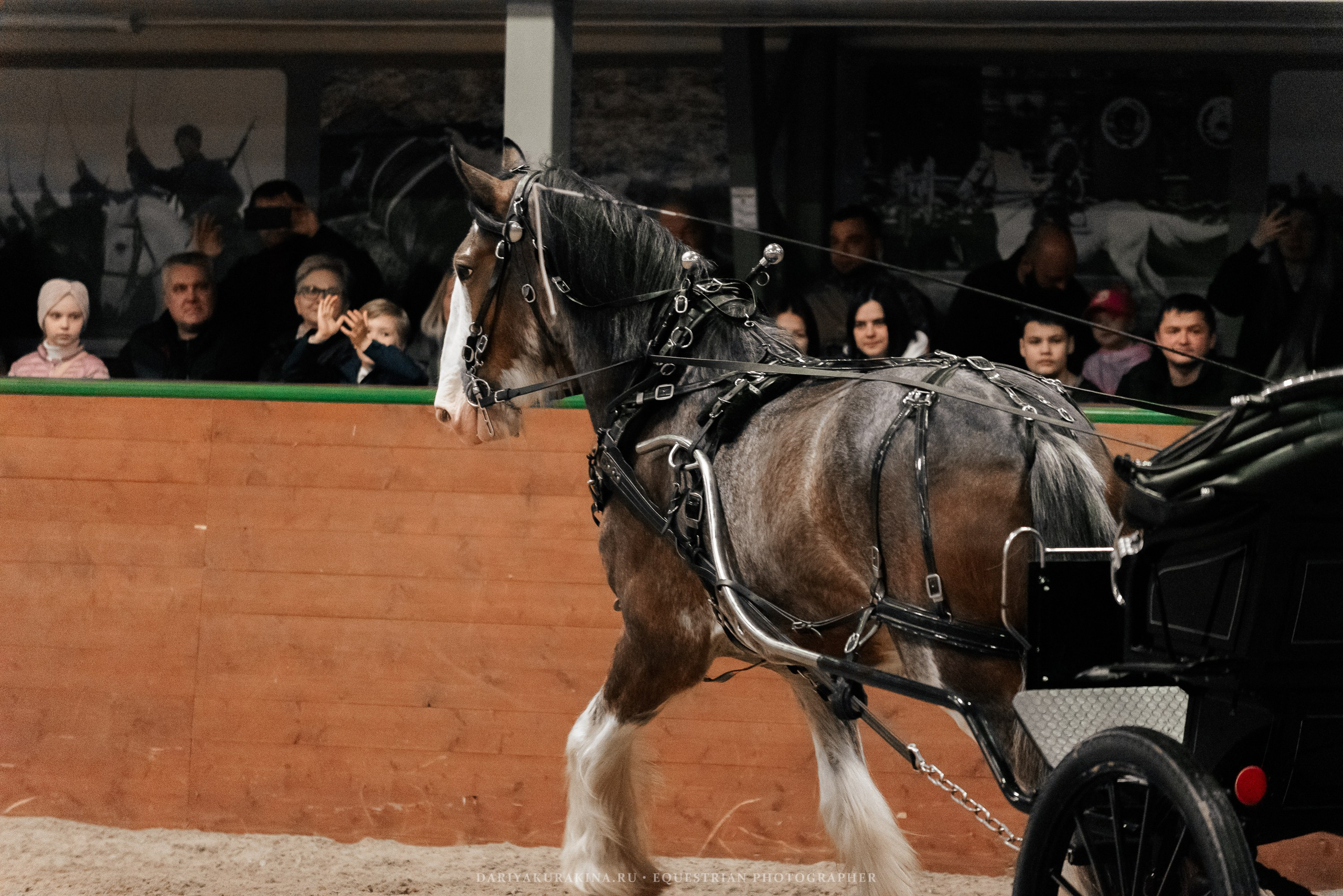 Конное представление «Дыхание Звёзд». Конный фотограф Куракина Дарья • Фотосессии с лошадьми
