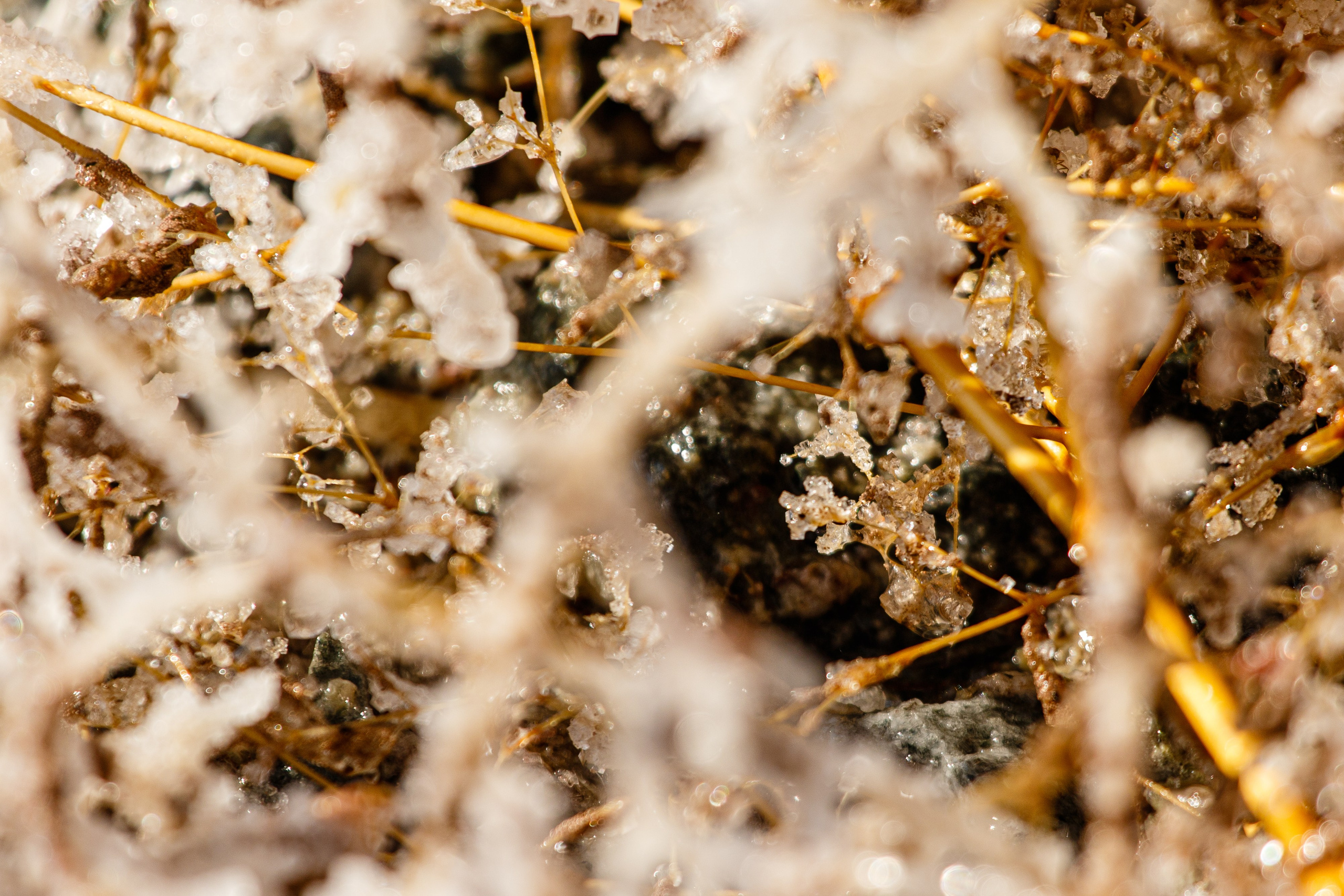 Фототур Бурсоль. Фотограф Кирилл Мешков Кемерово