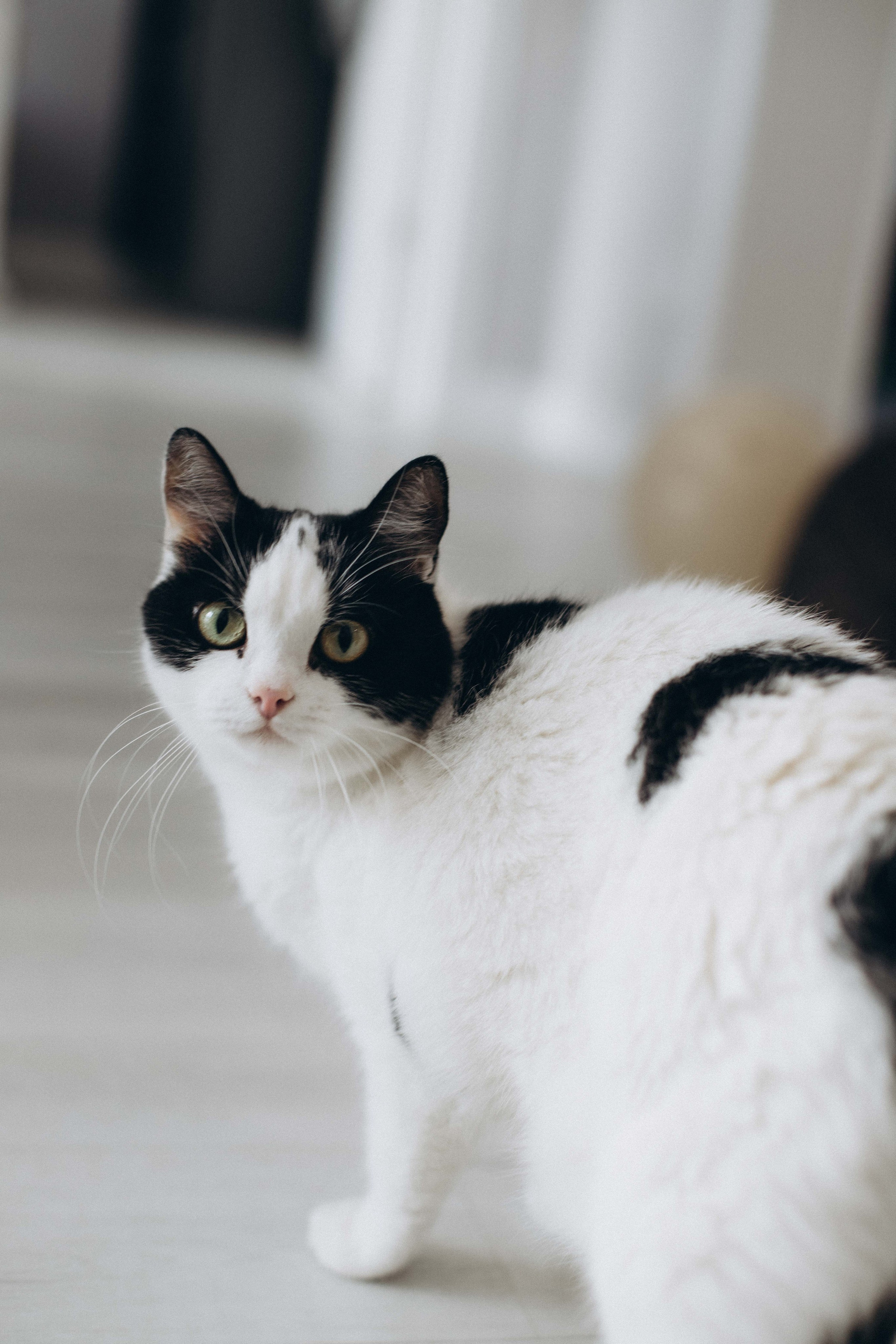 Андрею 1 годик. Фотограф Наталья Кургина Слюдянка Иркутск