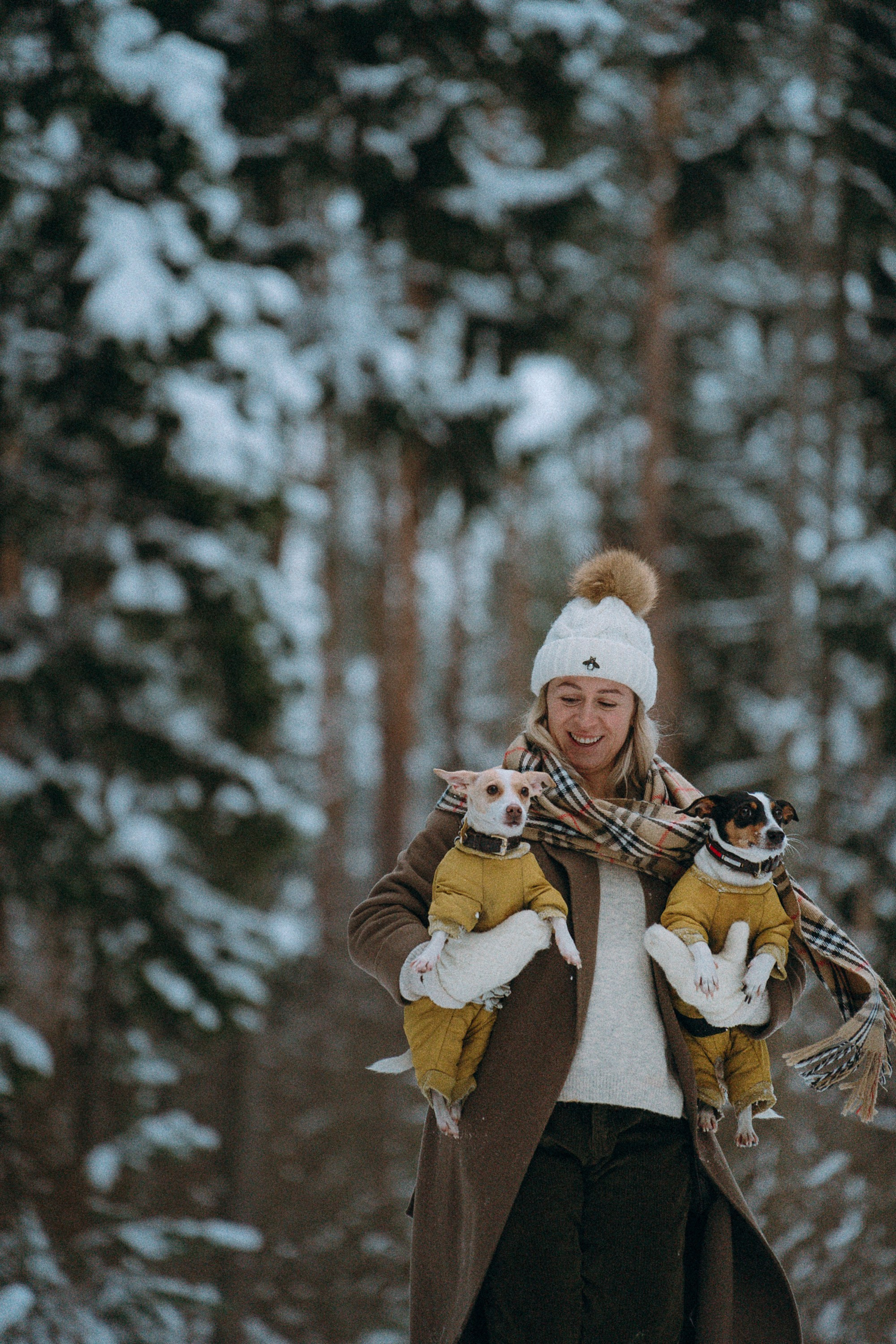 Алина, Ваниль и Элис. Фотограф анималист в Москве и Санкт-Петербурге Свиридова Анна