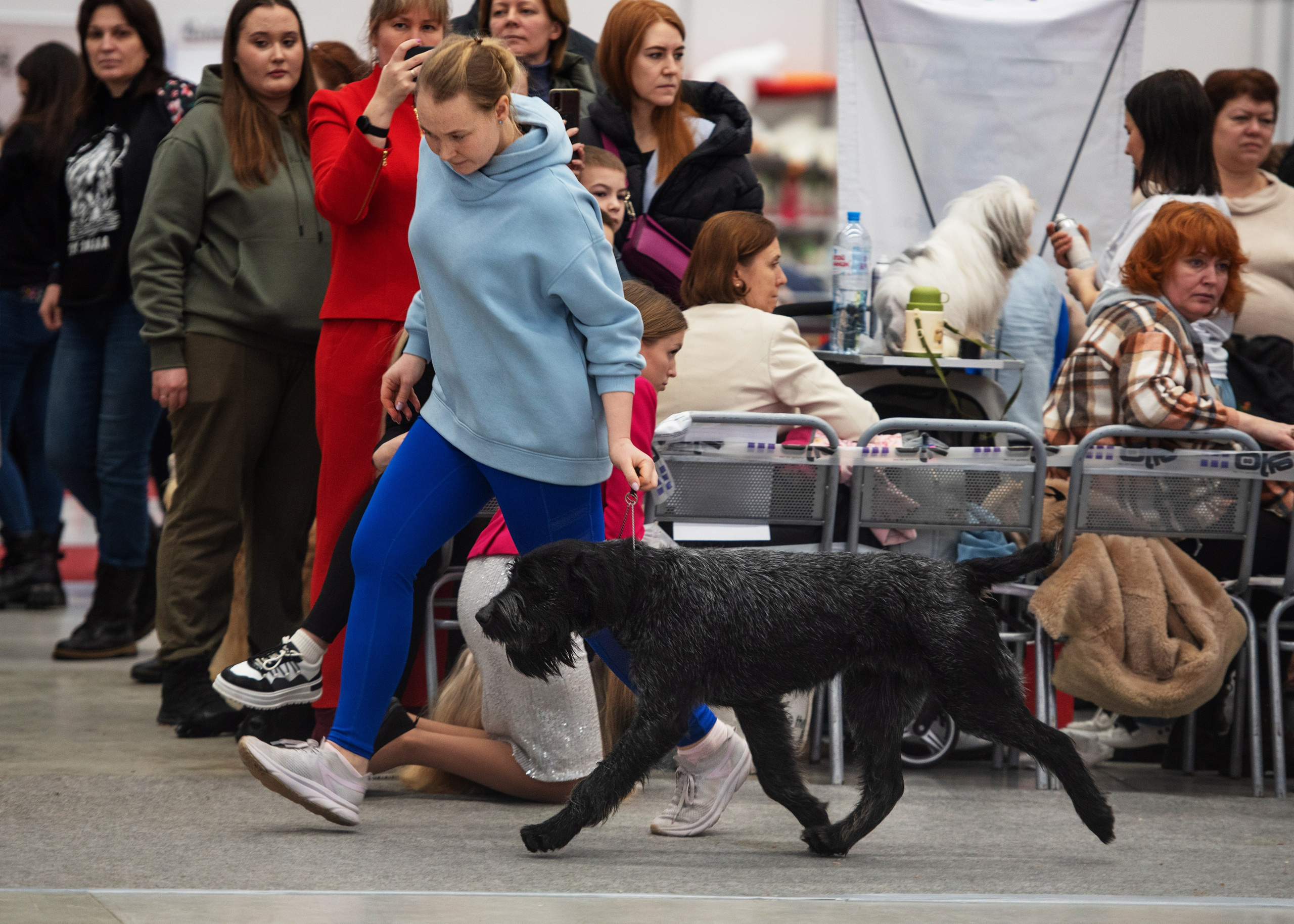 Выставки. Главная