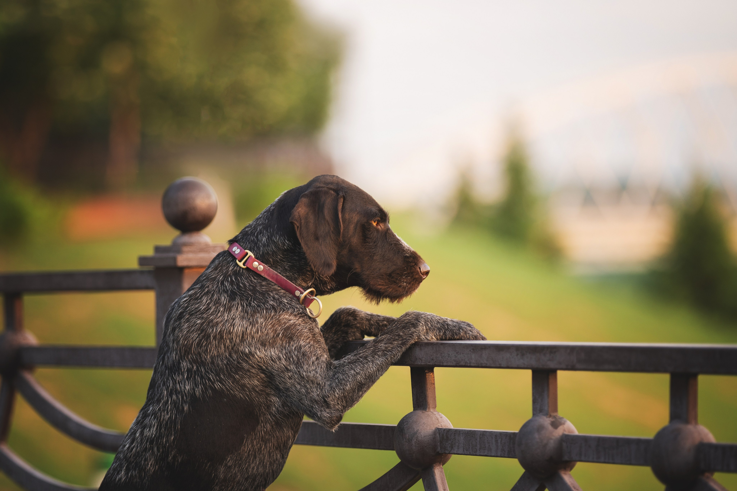 Фотографии. Главная