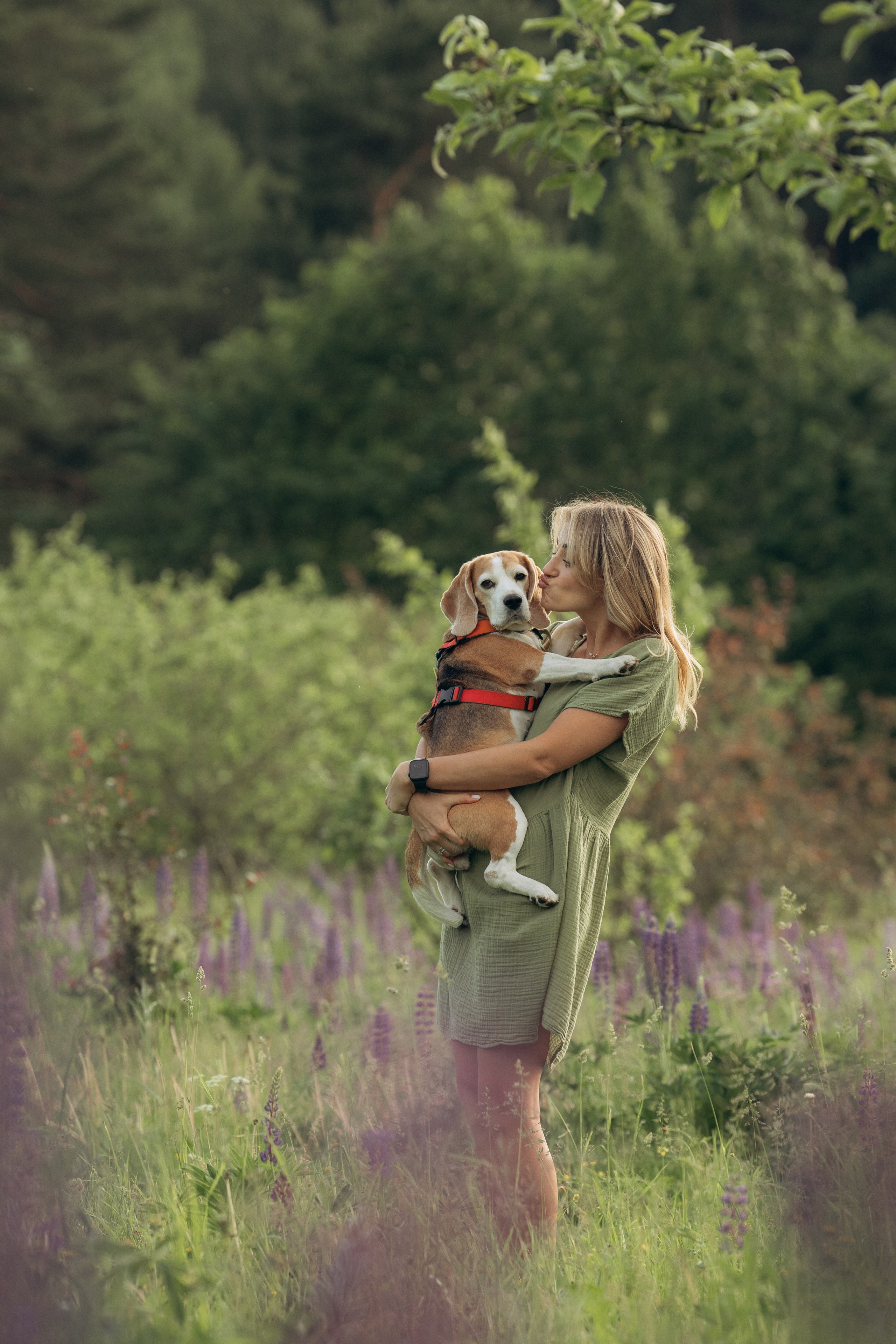 Кристина и Нора. На закате дня. Фотограф анималист в Казани Алина Сулейманова. Фотограф животных