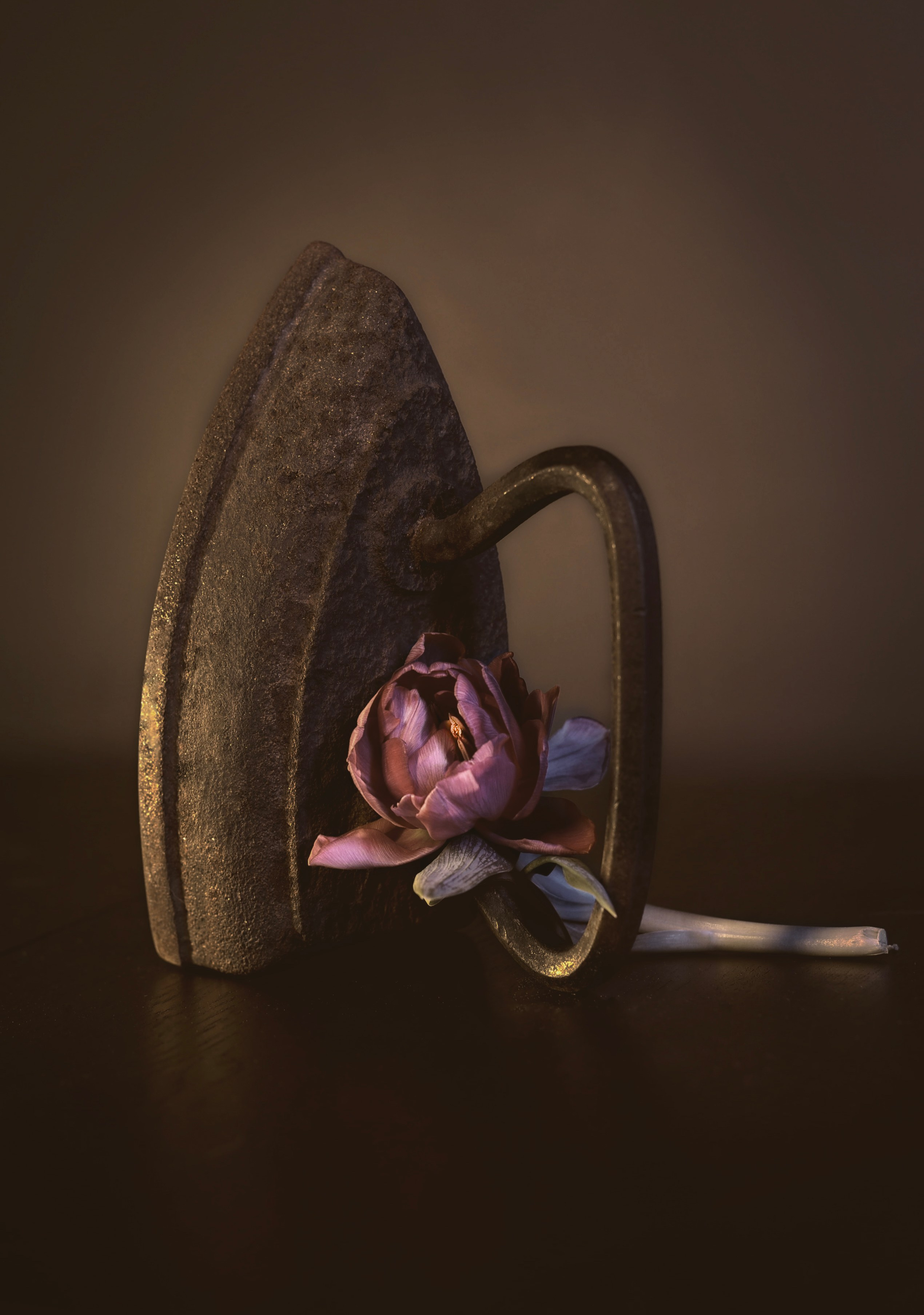 Натюрморт. Фотография как кино