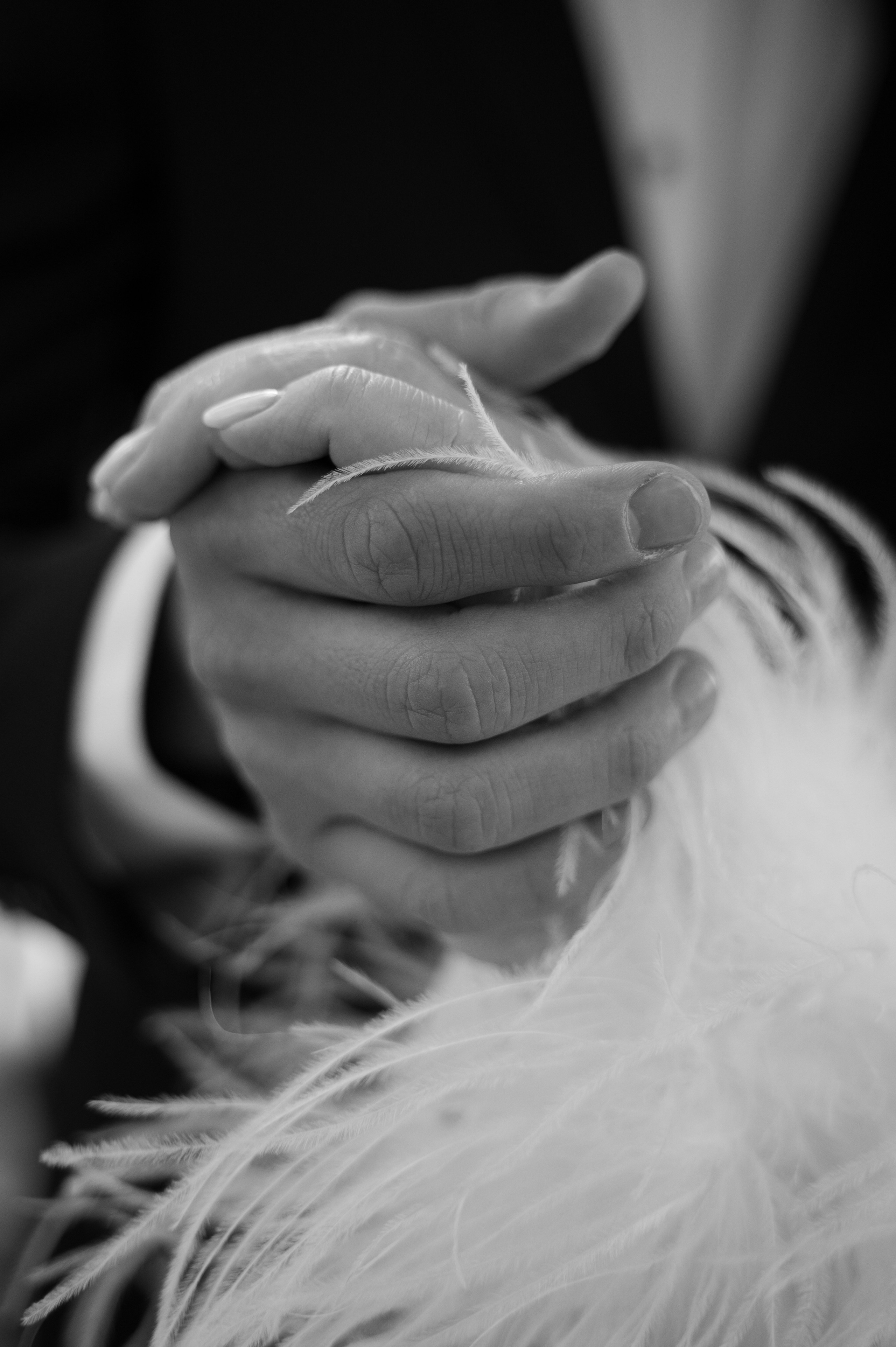 Villa Rossa Wedding. Свадебный фотограф в Москве | Живые фотографии и сопровождение невесты — Елена Журавлева