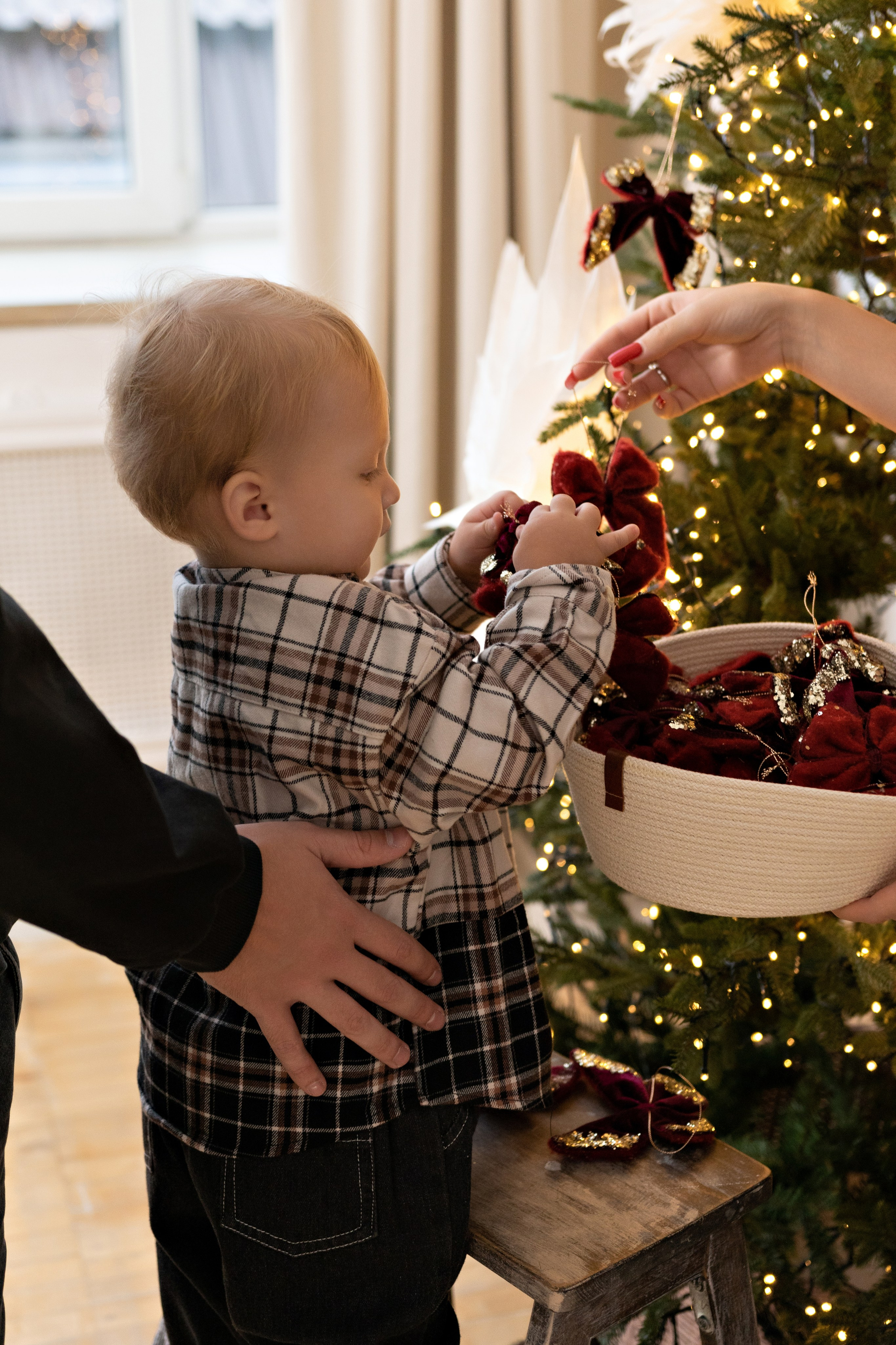 Family. Елена Задорина