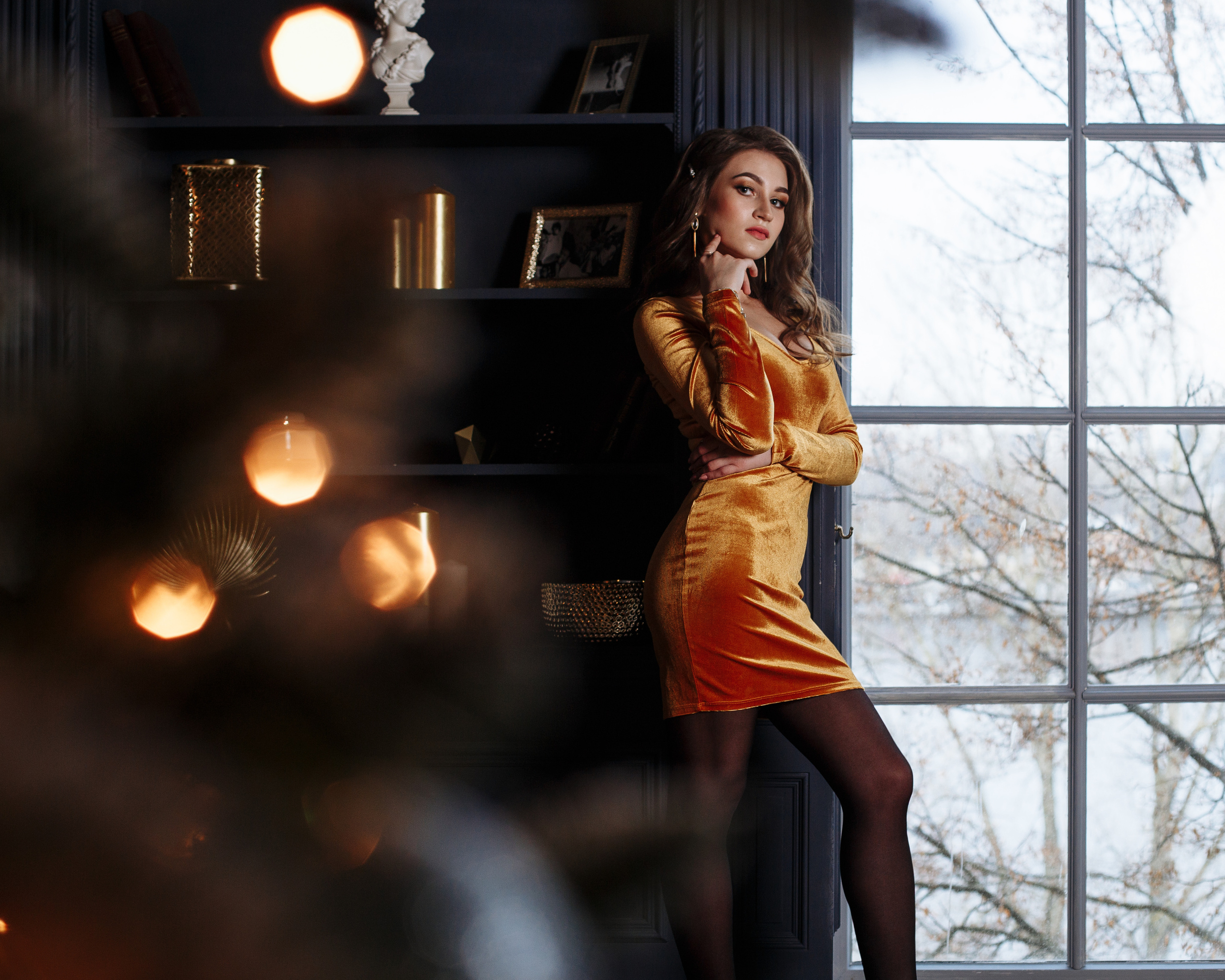 портрет в платье