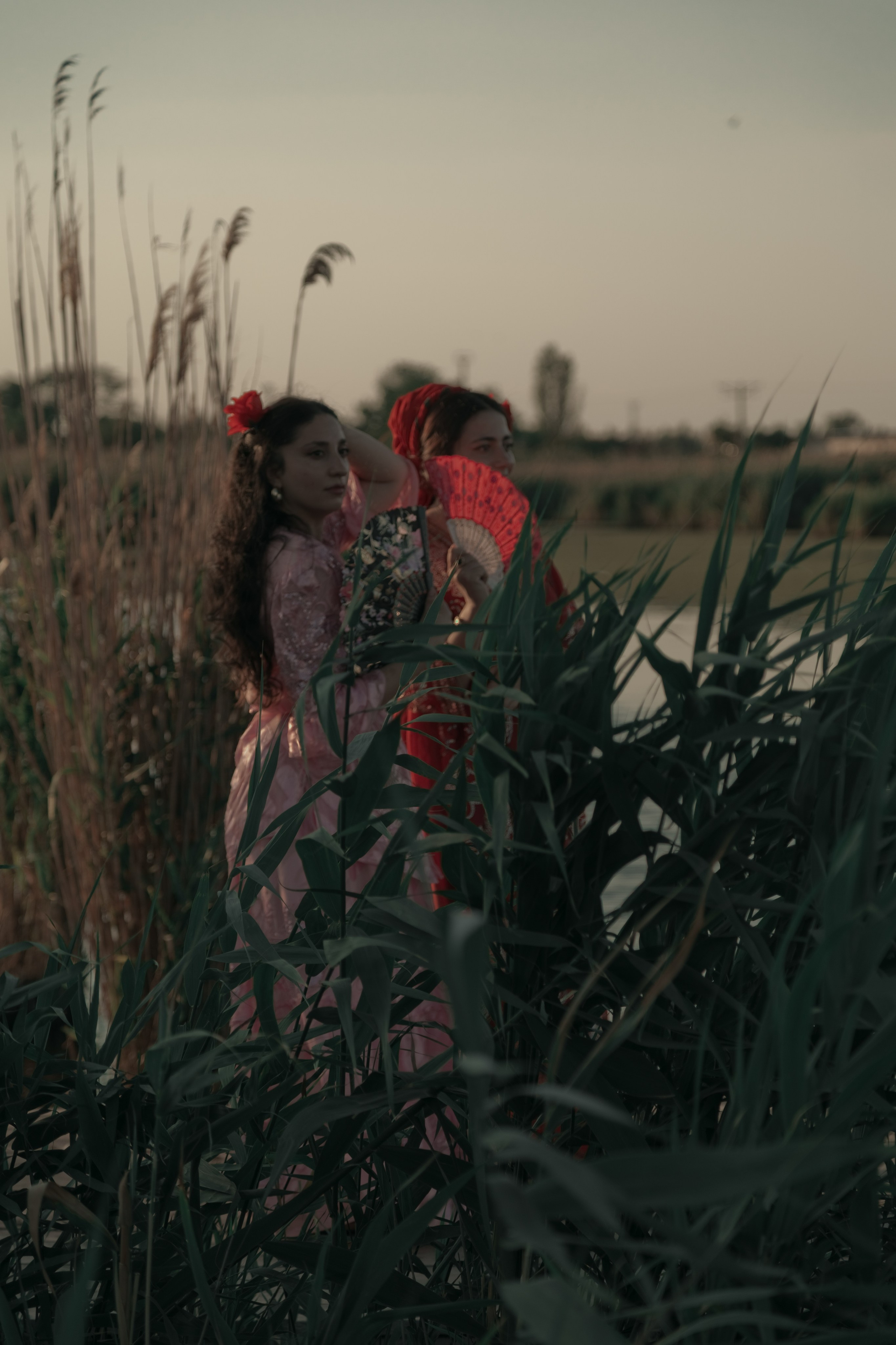 Свадебная фотосессия в Джанкое. Семейная фотосессия. Свадебный фотограф в Джанкое. Семейный фотограф в Джанкое