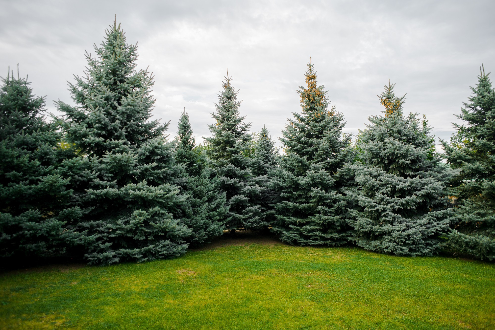 Шатер. Главная