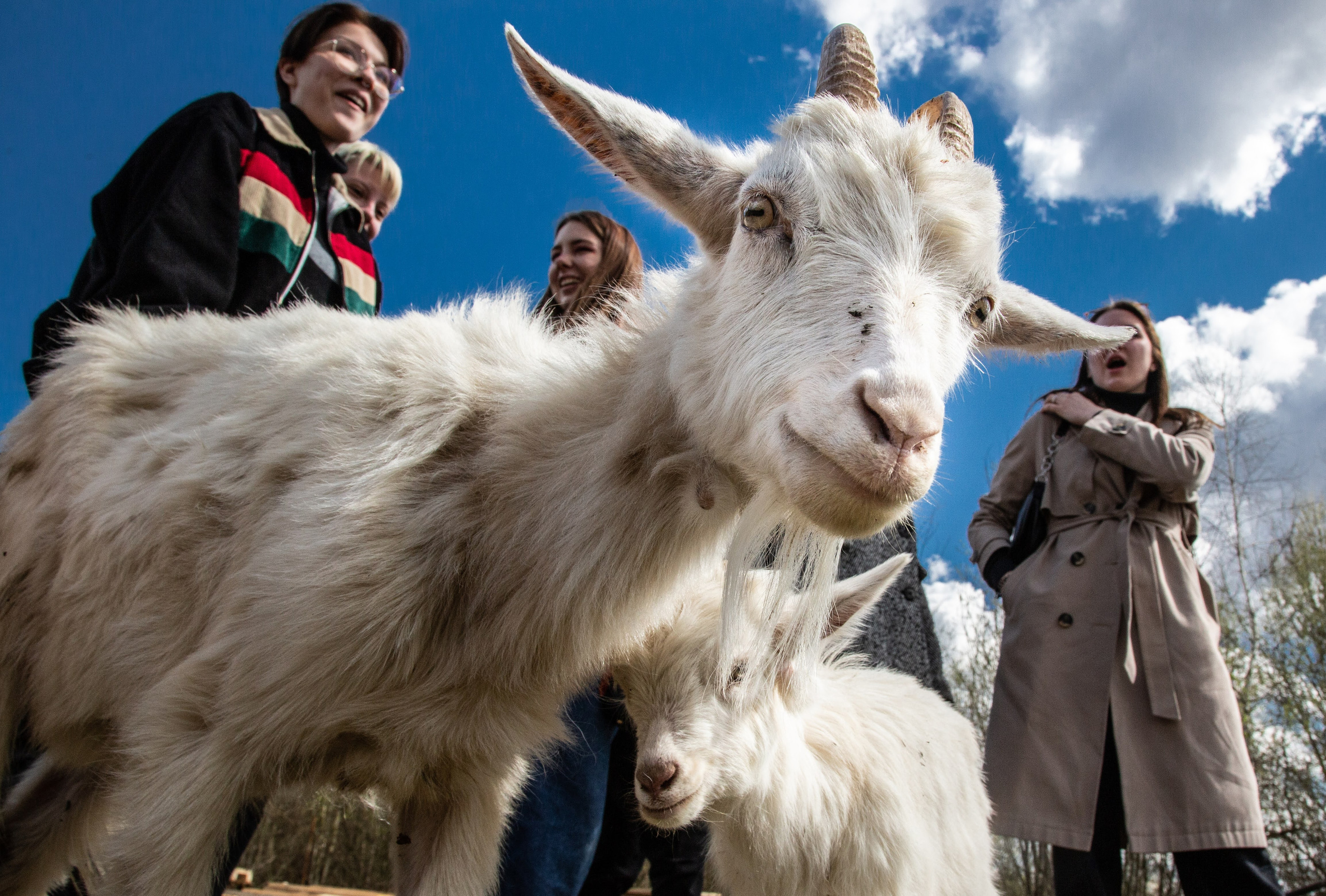 Фотограф и дизайнер Валерий Хотеев