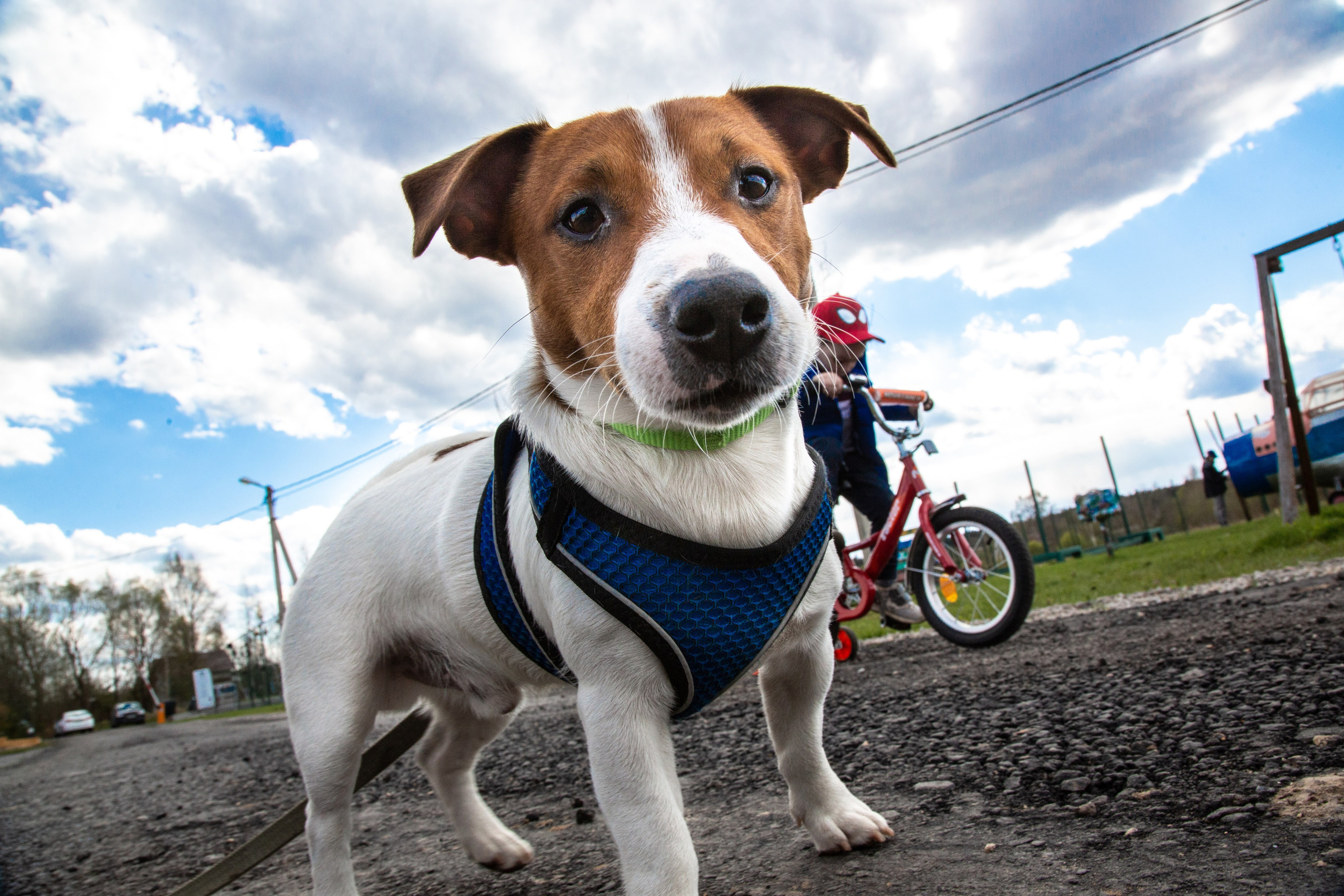 Фотограф и дизайнер Валерий Хотеев