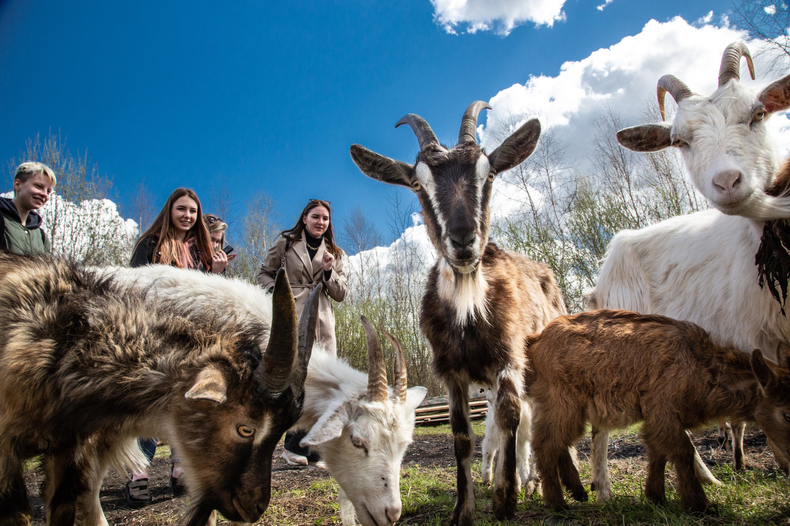 Фотограф и дизайнер Валерий Хотеев