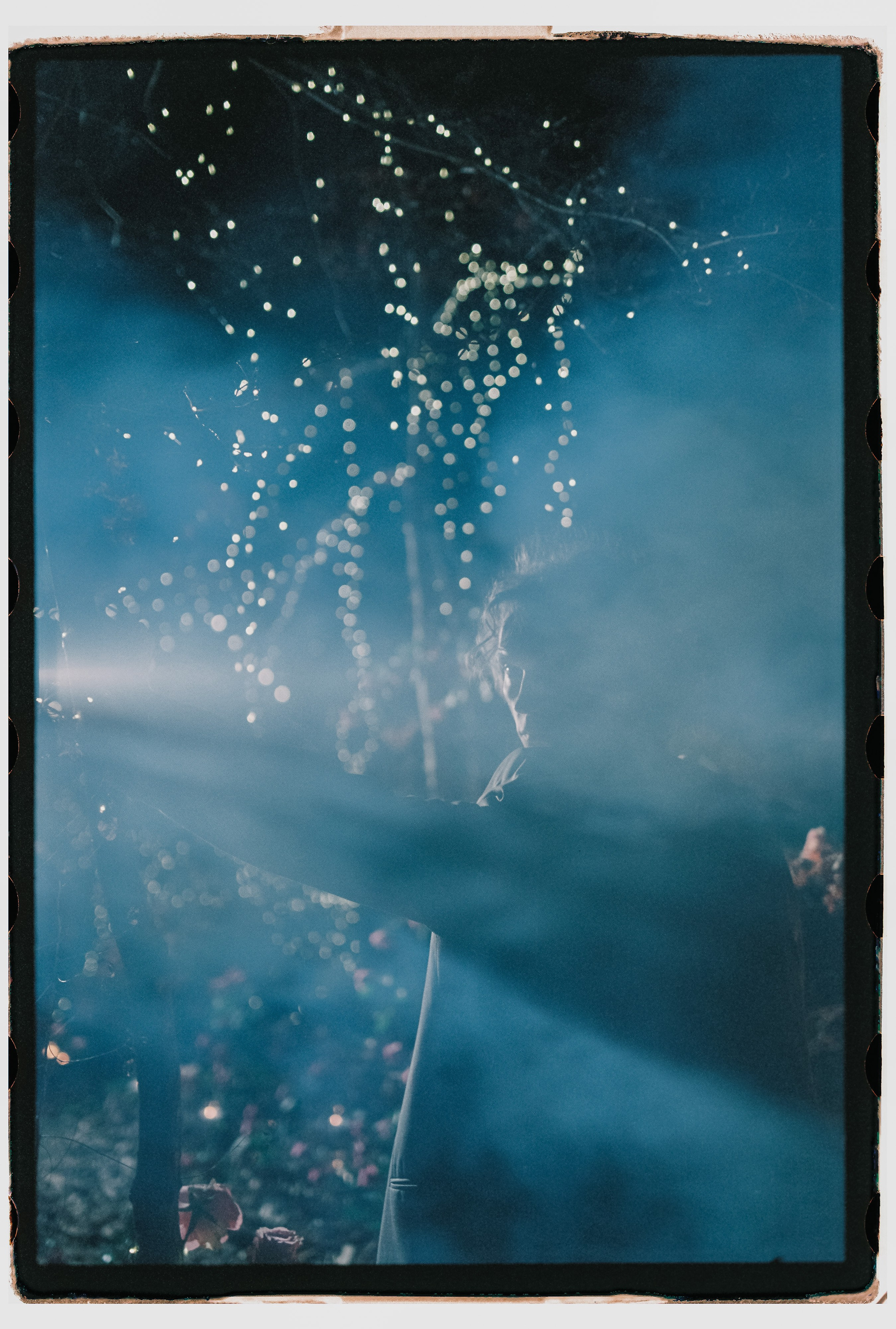 Лесной променад