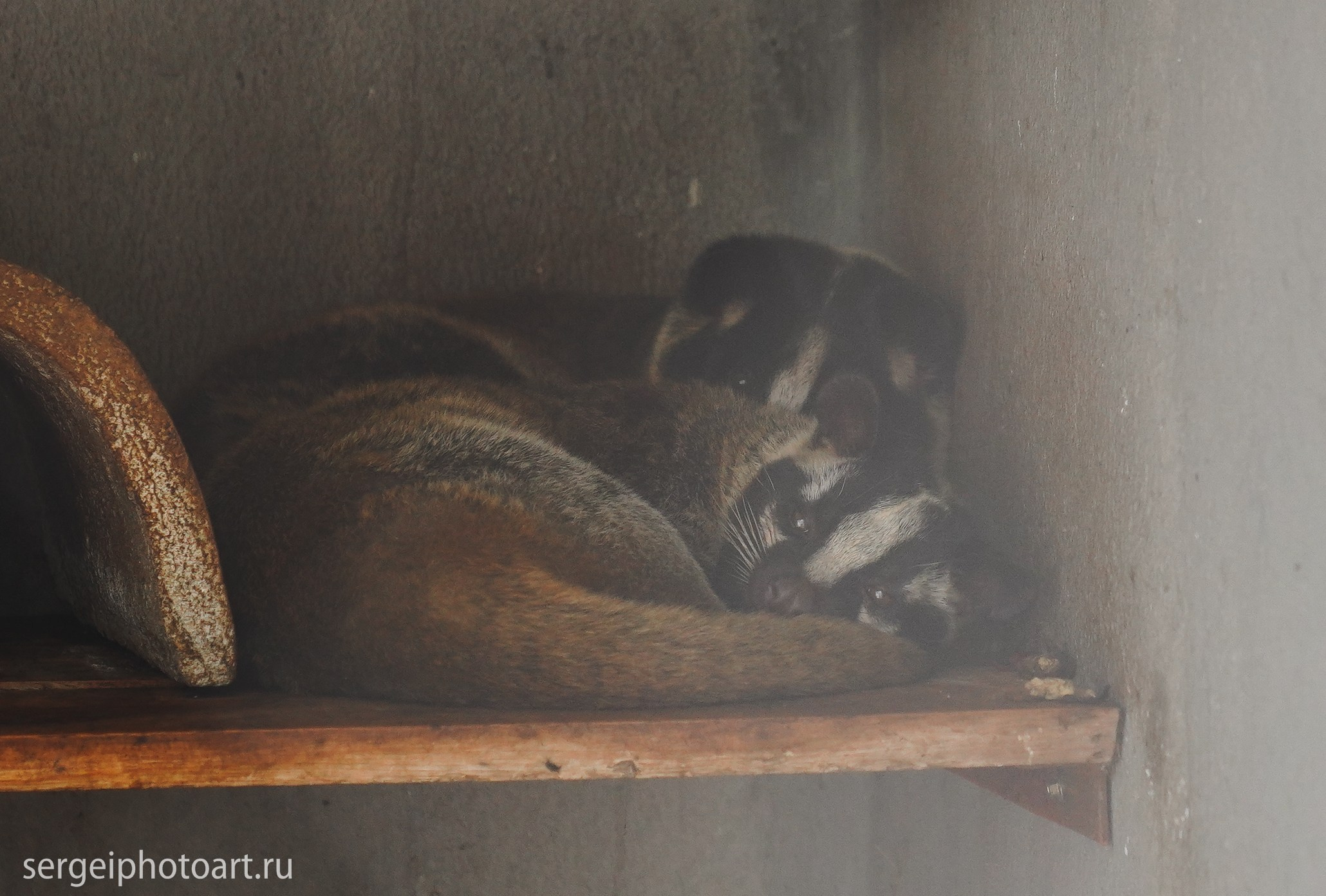 Далат. Фотограф Сергей Кишкель Дананг Нячанг Фукуок