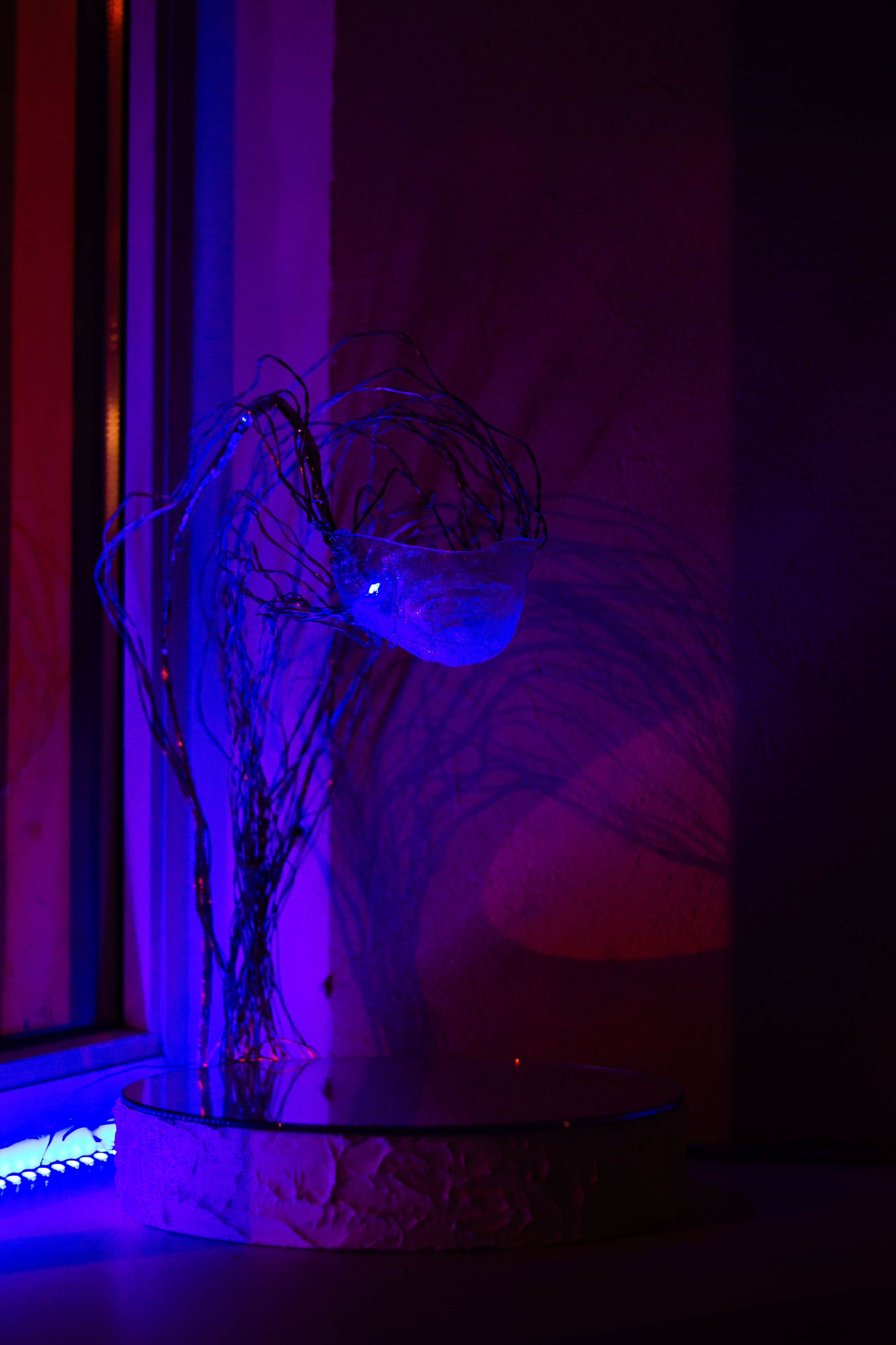 Бильярдная «Крученых» некрореализм. Юля Мурашова портретный и документальный фотограф