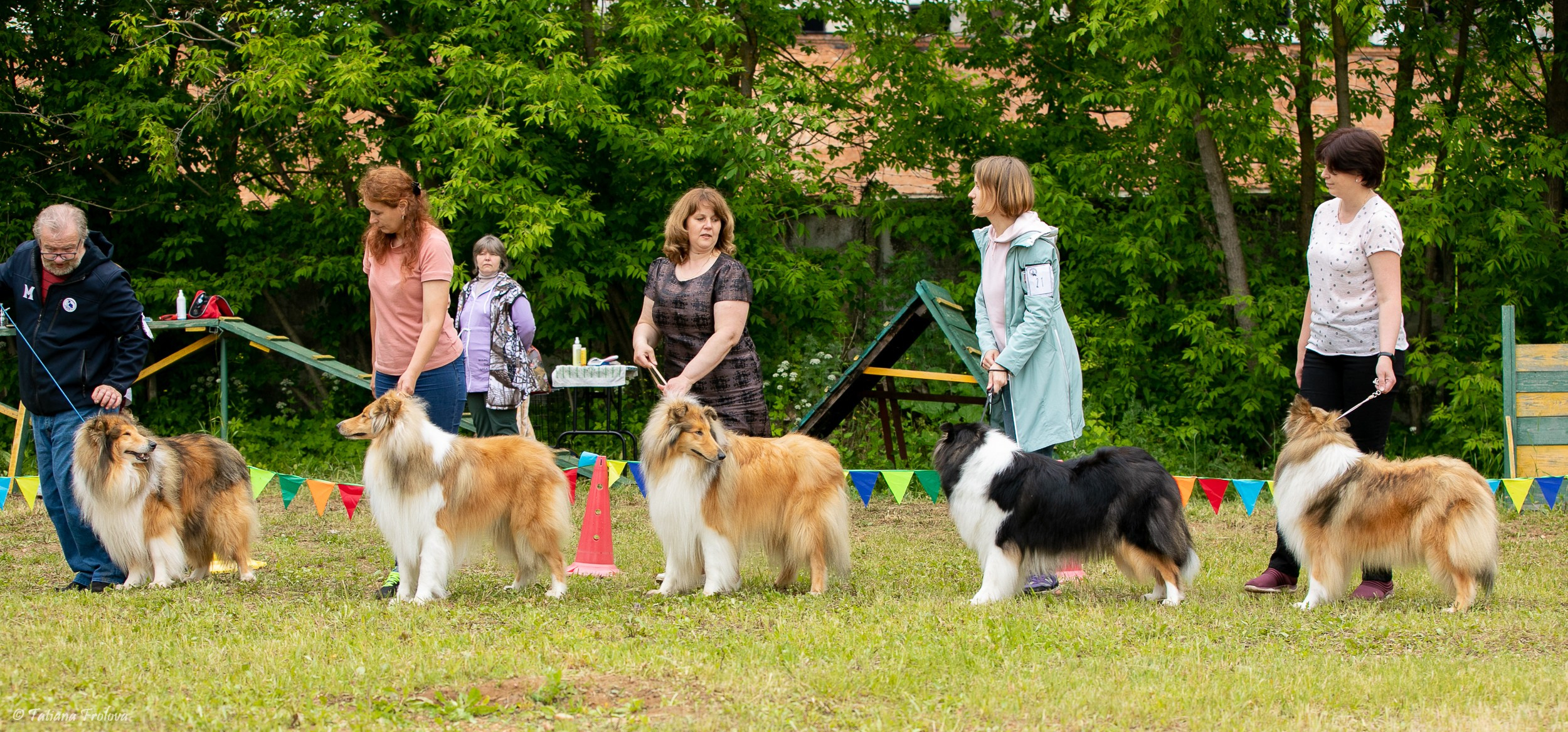 Фотосопровождение выставки собак в Московской области и Москве. Фотограф-анималист в Москве и Московской области Татьяна Фролова