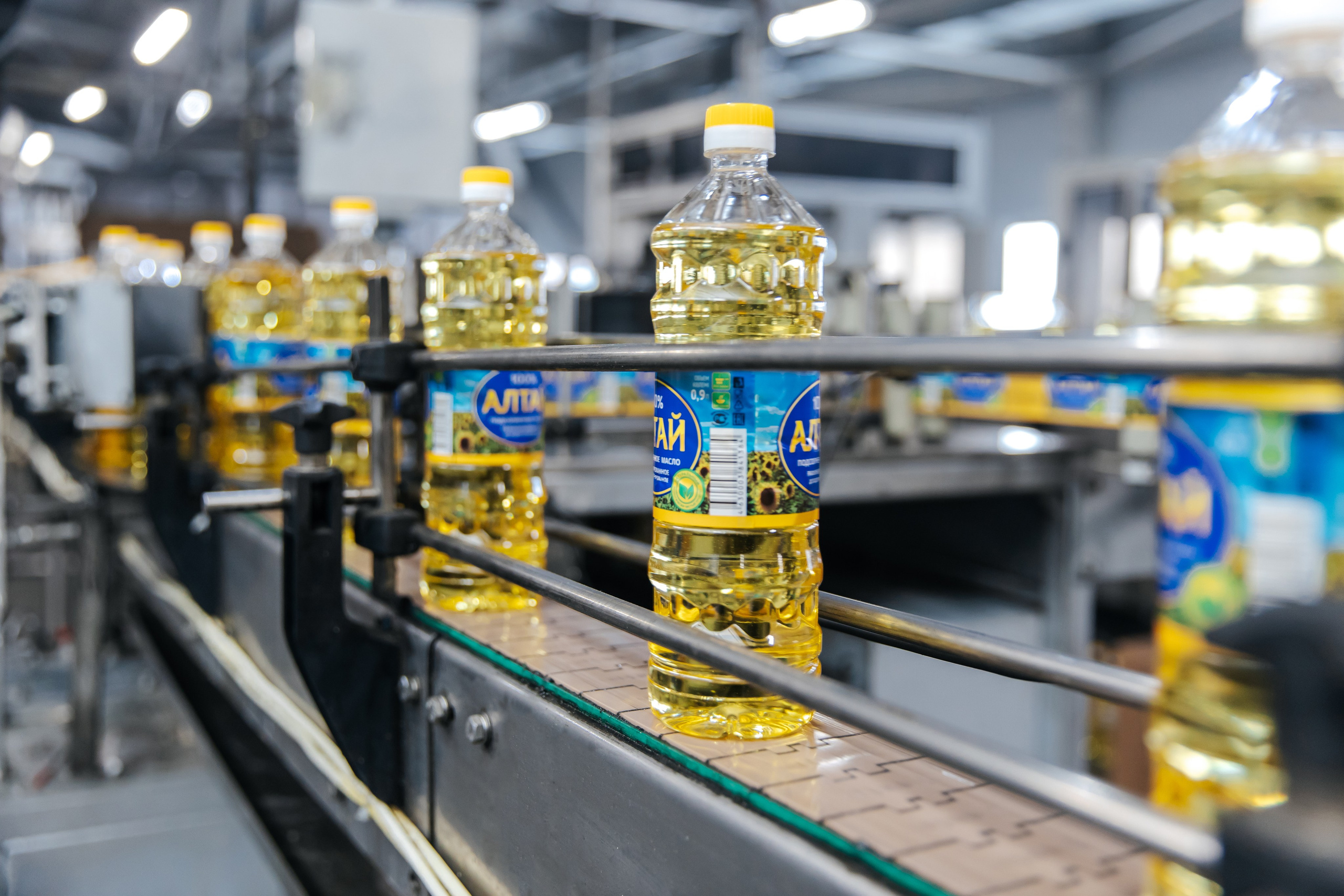 Диво Алтая. Производитель подсолнечного масла. Лихошерстов Андрей — фотограф для бизнеса из Сибири