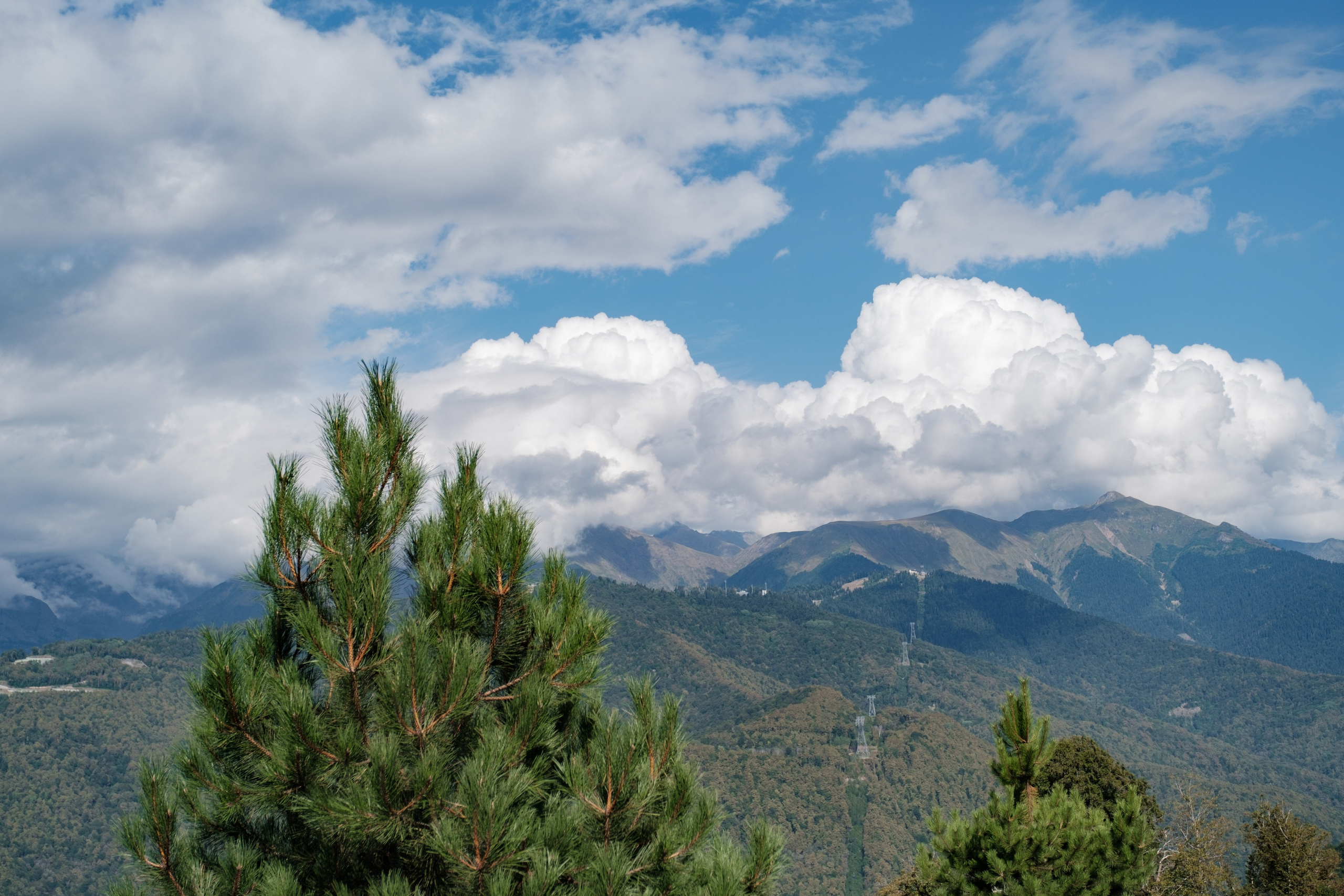 Виктория / Евгений. Свадебный Видеограф Фотограф в Сочи